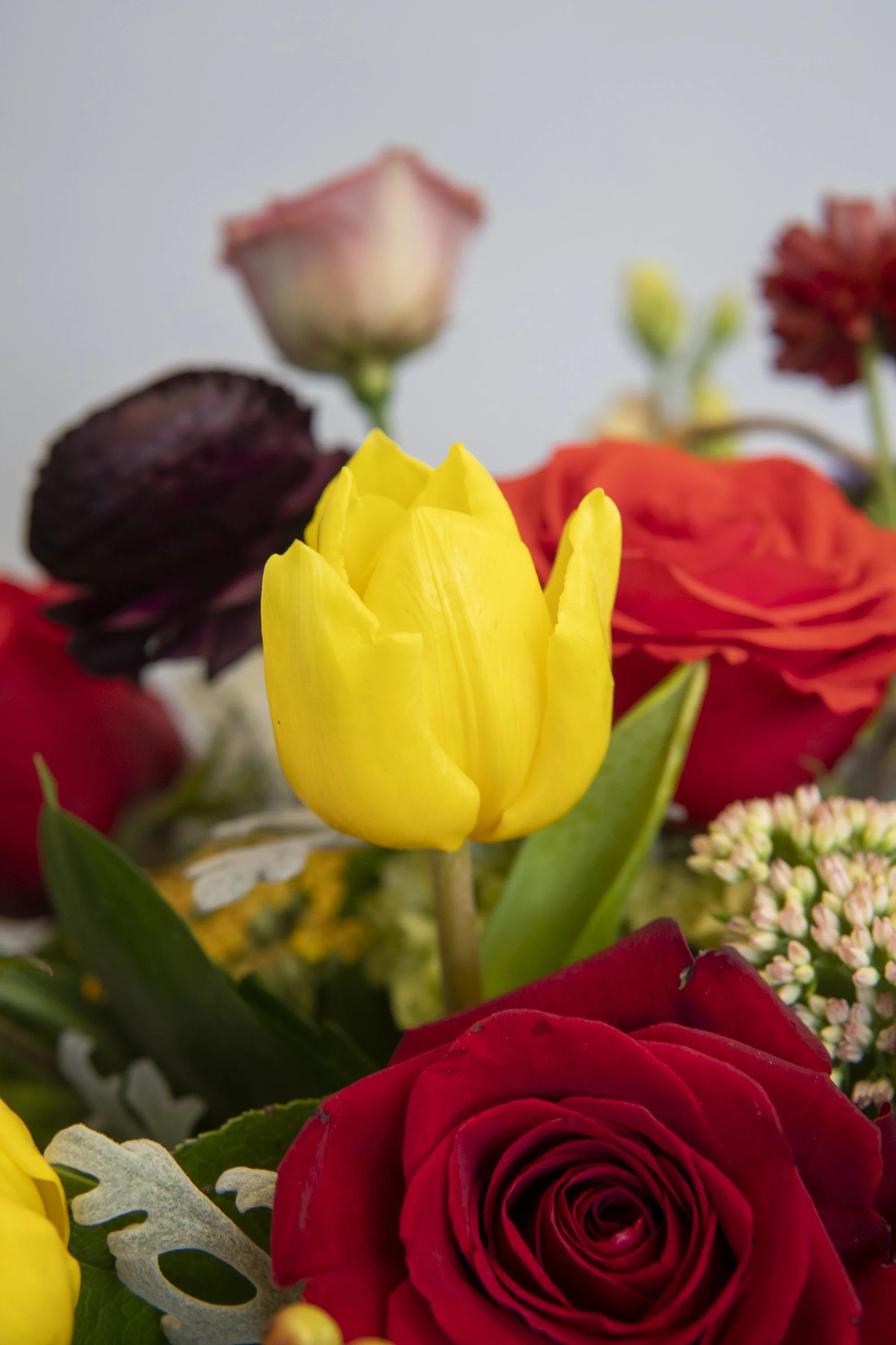 skylerburkhart-07.02.22-36.jpg