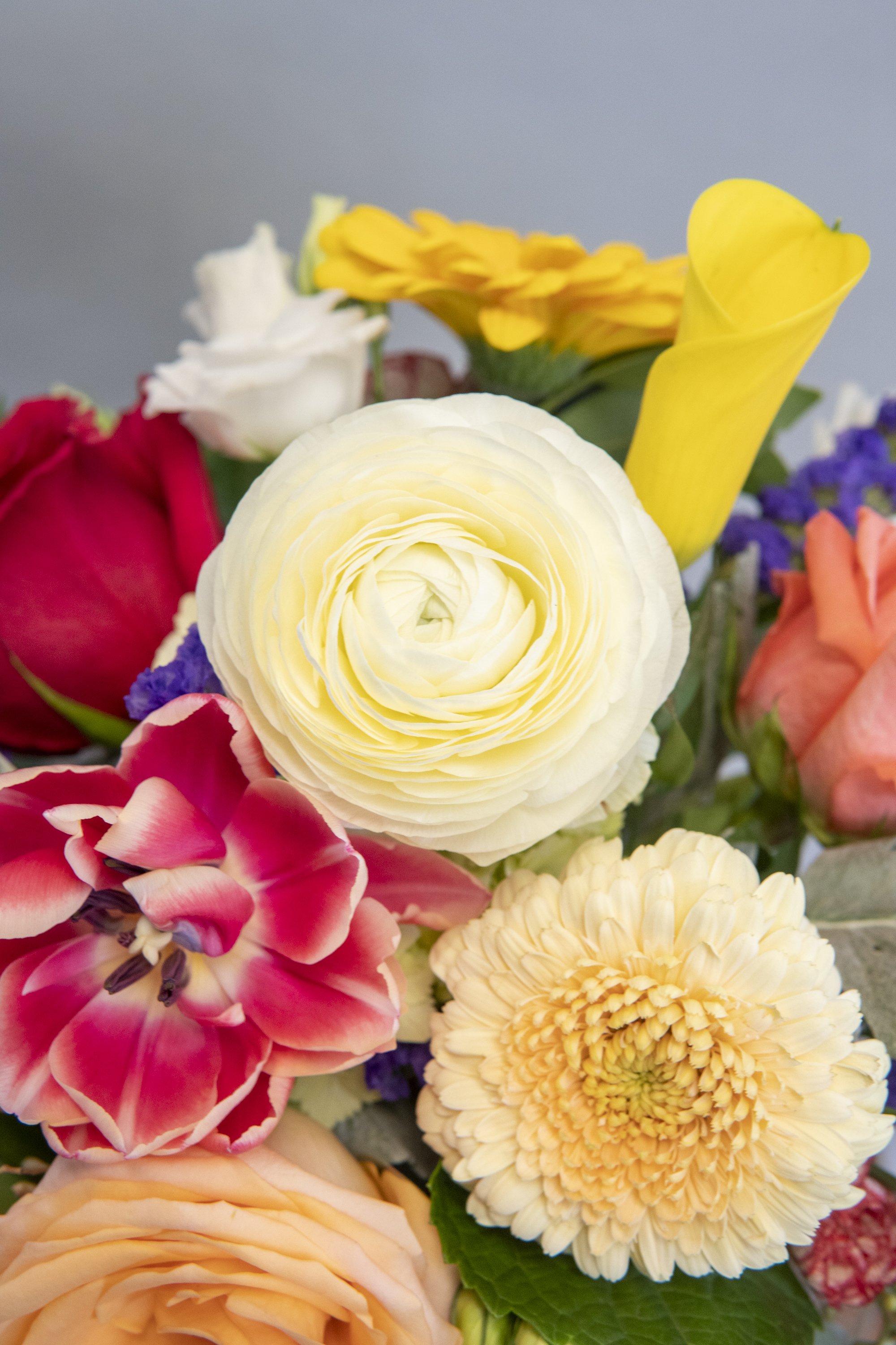skylerburkhart-01.07.23-17.jpg