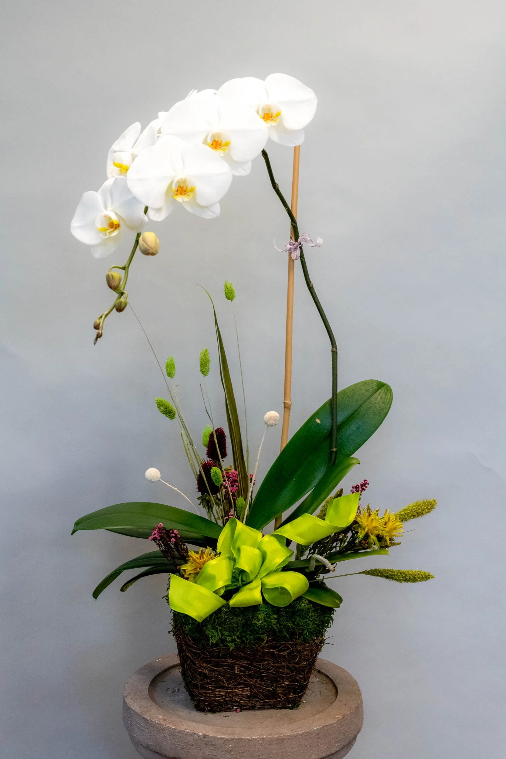 Flowers Etc by Denise-30.jpg