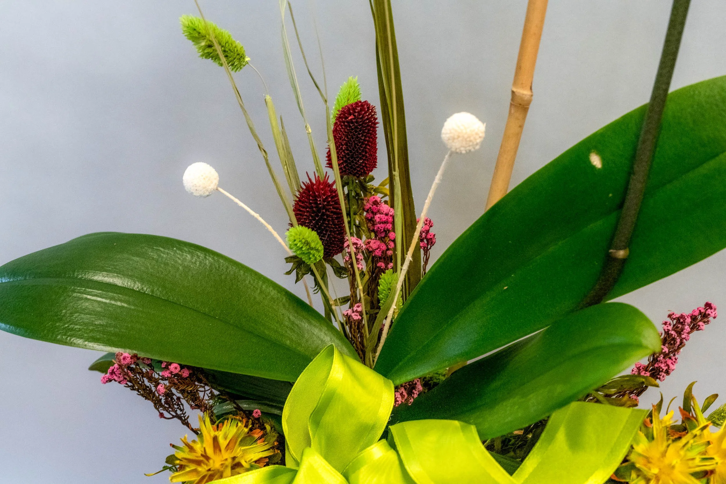 Spring/Mother's Day — Flowers, Etcetera by Denise