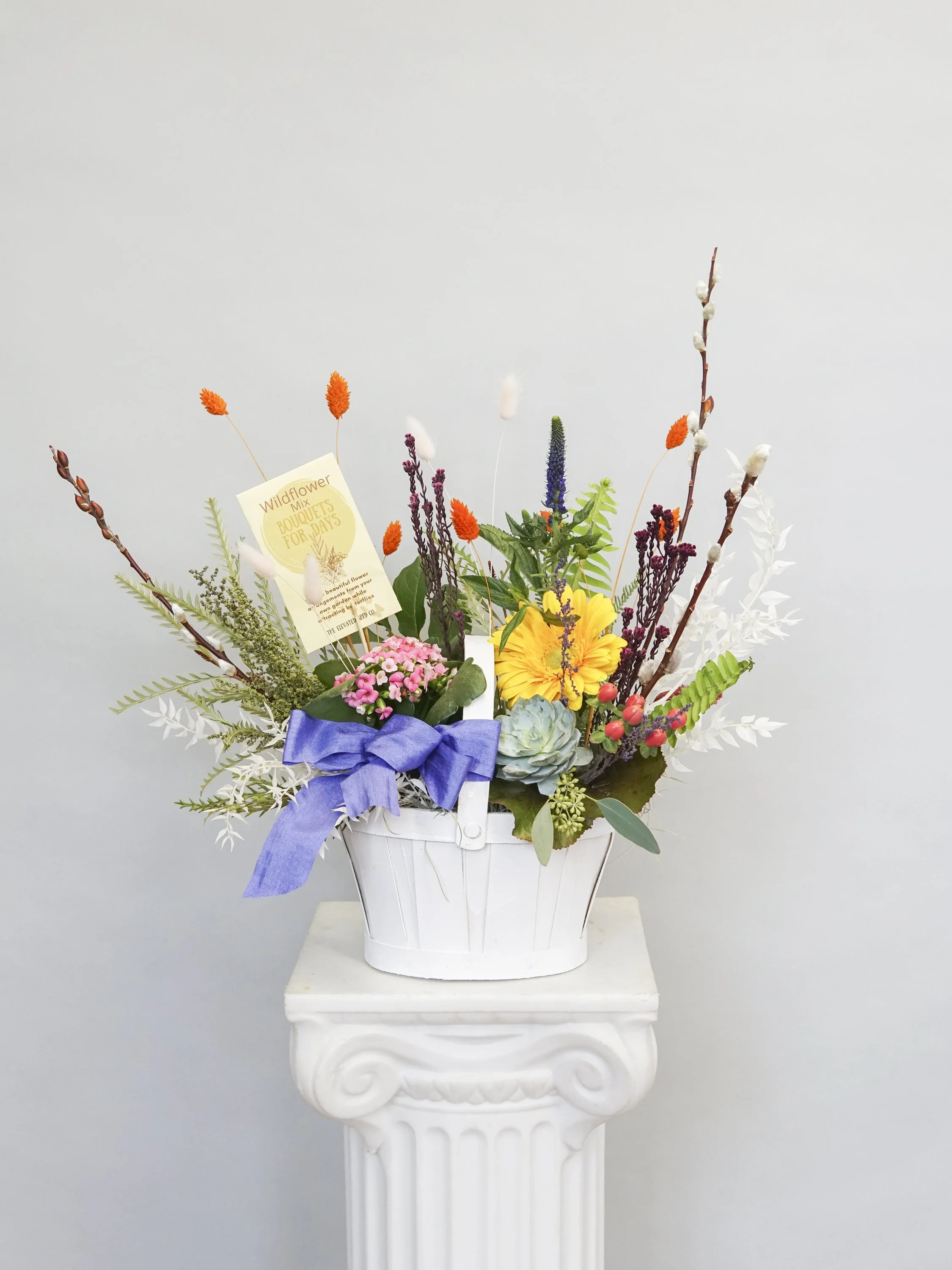 Spring — Flowers, Etcetera by Denise