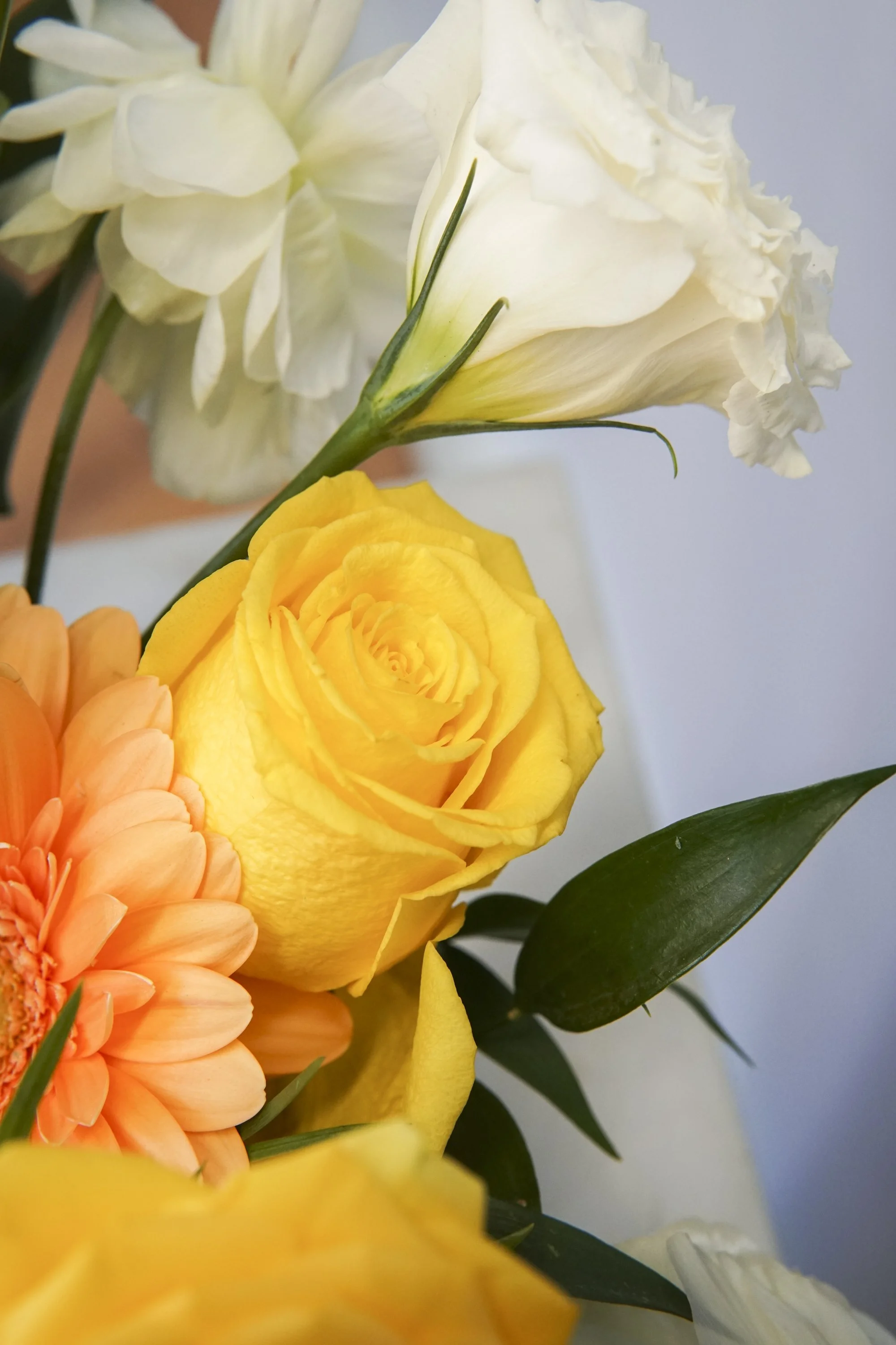 02.24.24-skylerburkhart-41.jpg