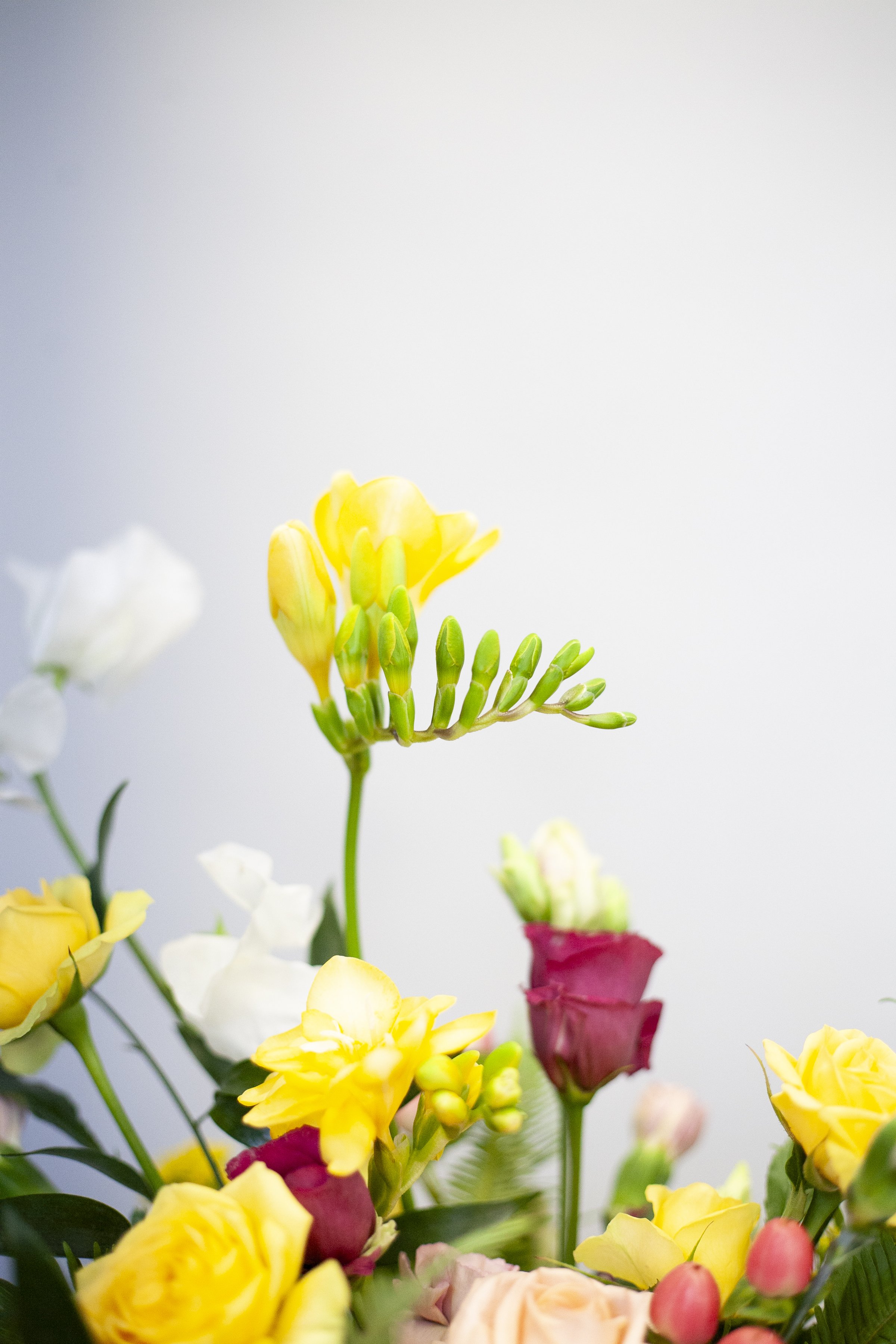 skylerburkhart_03.08.25-4.jpg