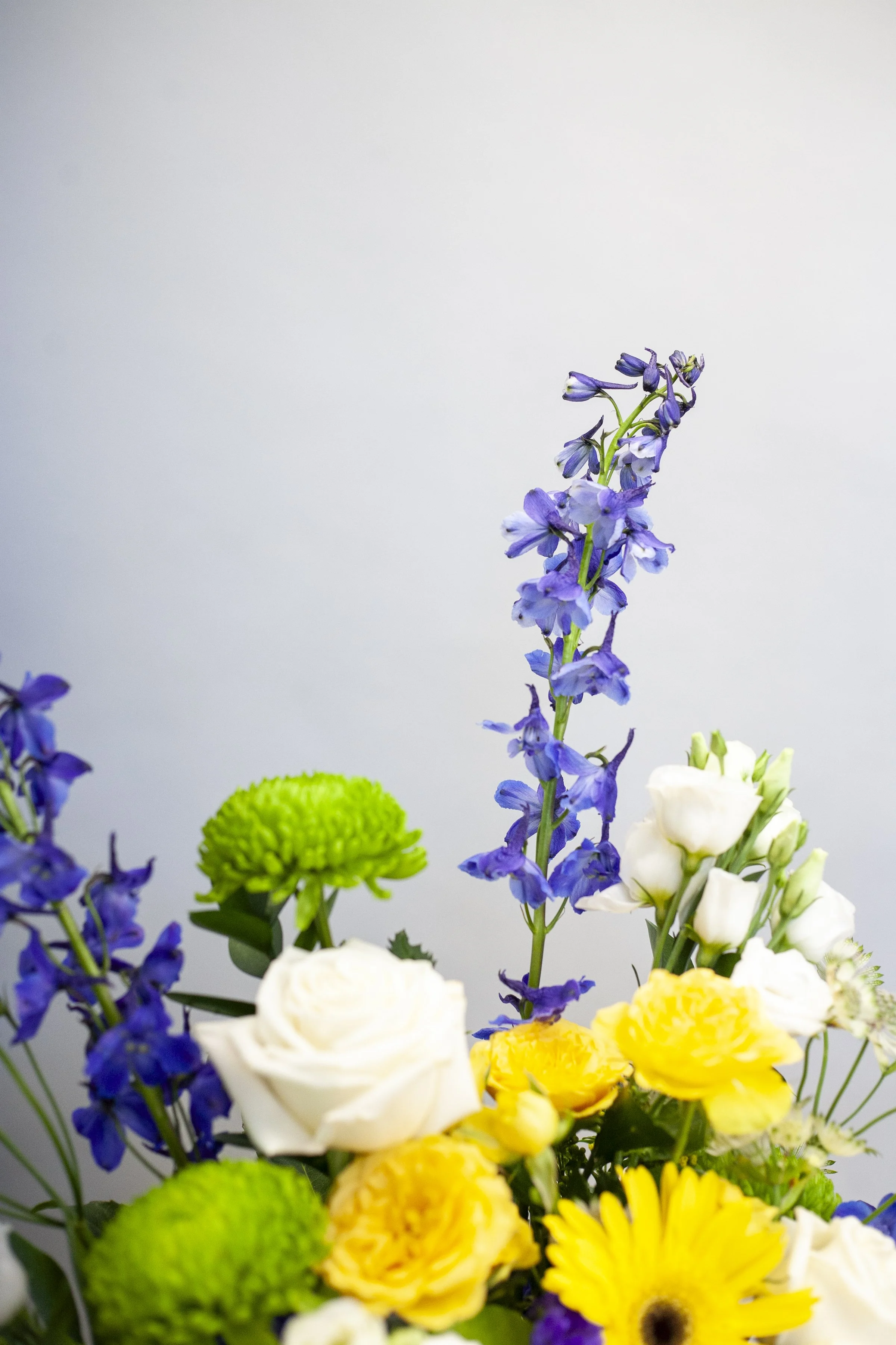 skylerburkhart_08.09.25-7.jpg
