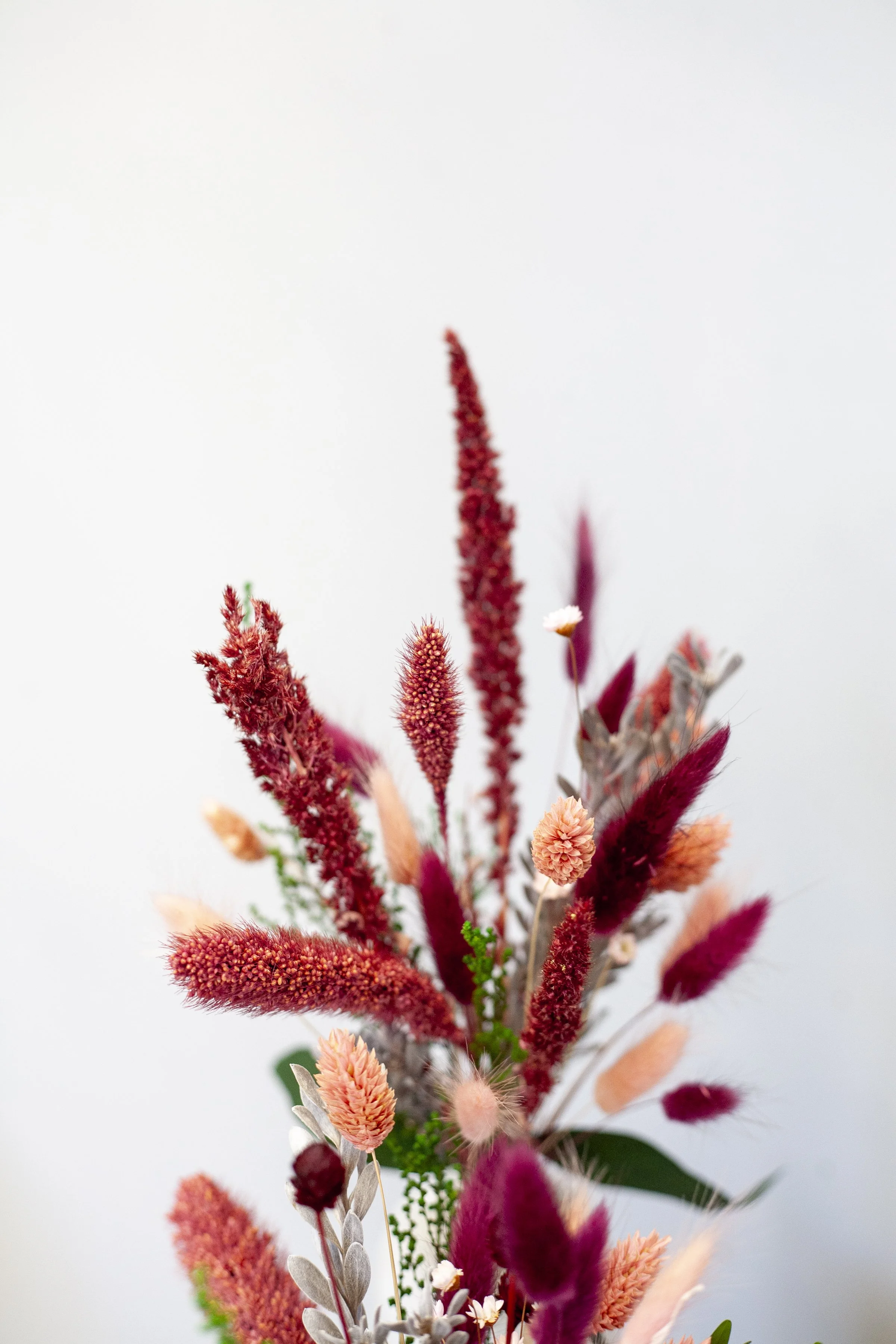 skylerburkhart_08.09.25-5.jpg