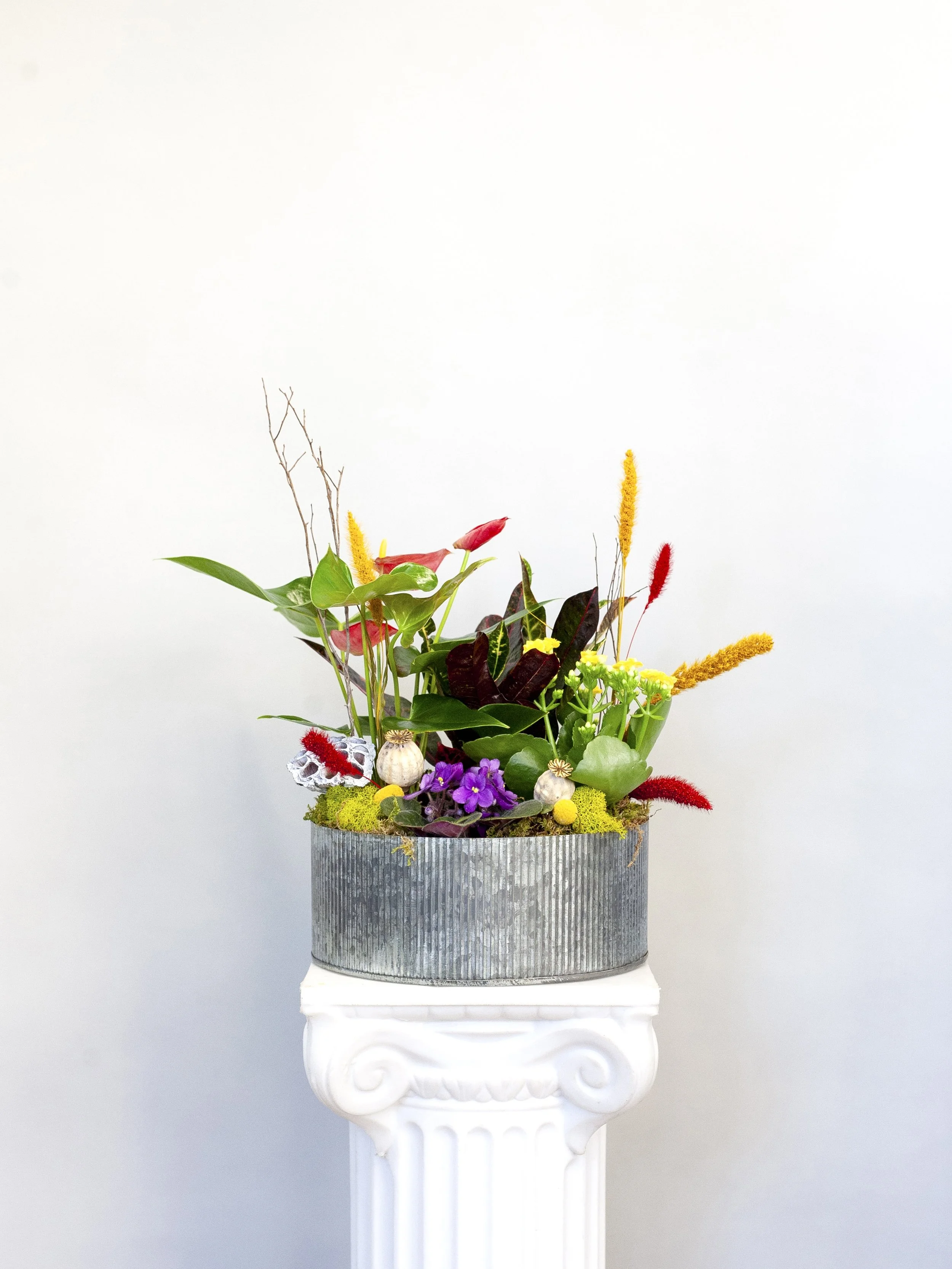 skylerburkhart_08.09.25-1.jpg