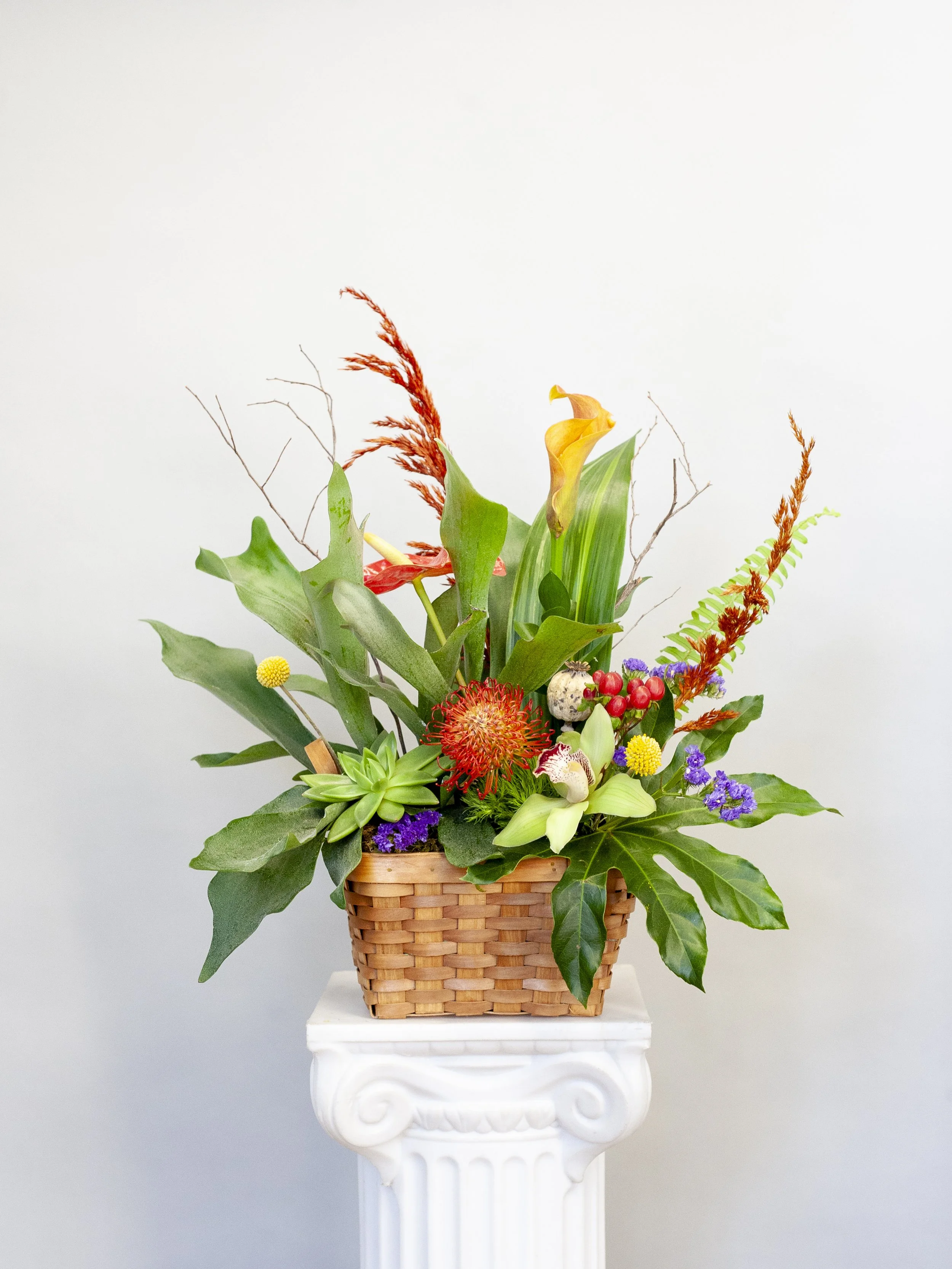 skylerburkhart_08.09.25-1.jpg
