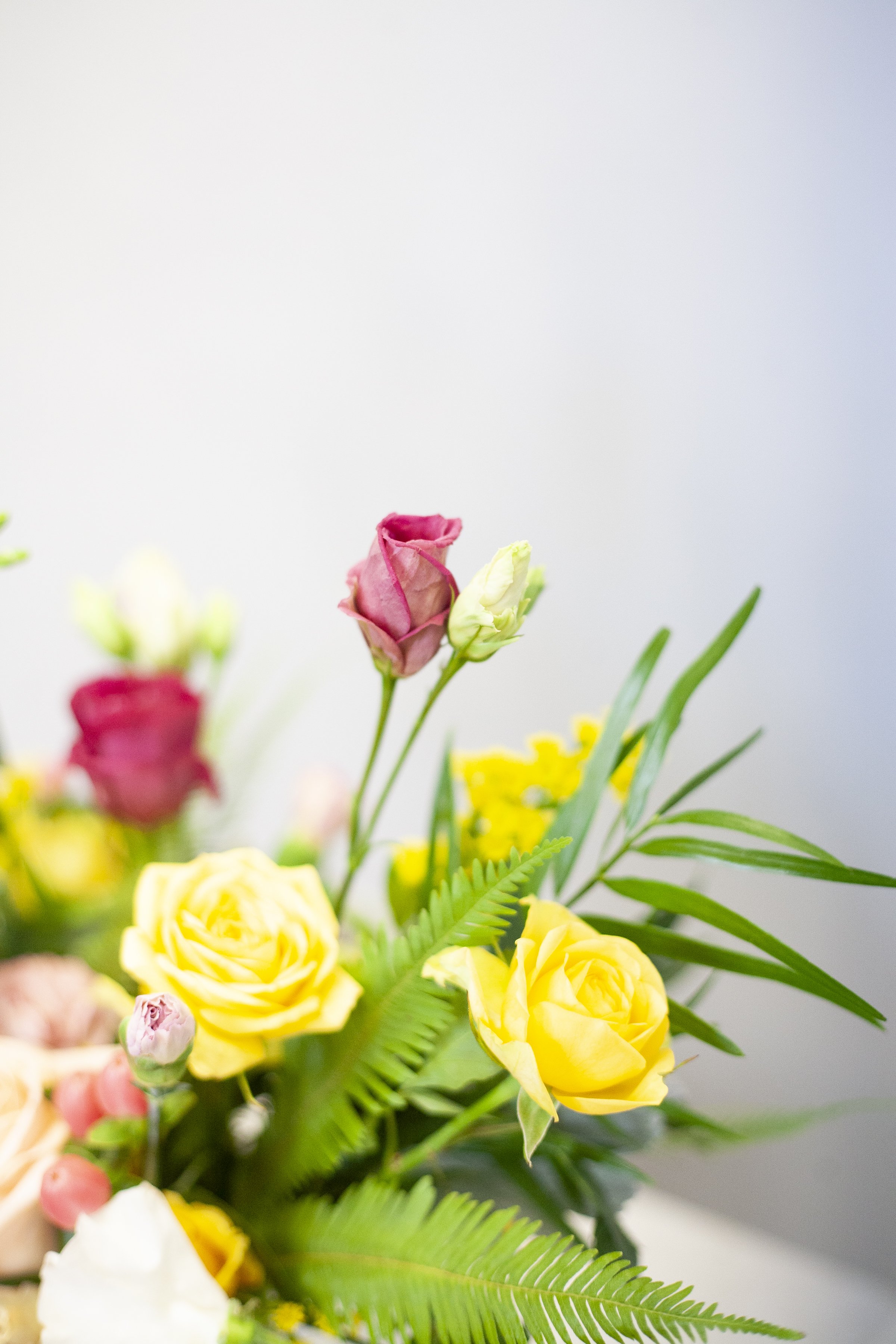 skylerburkhart_03.08.25-7.jpg