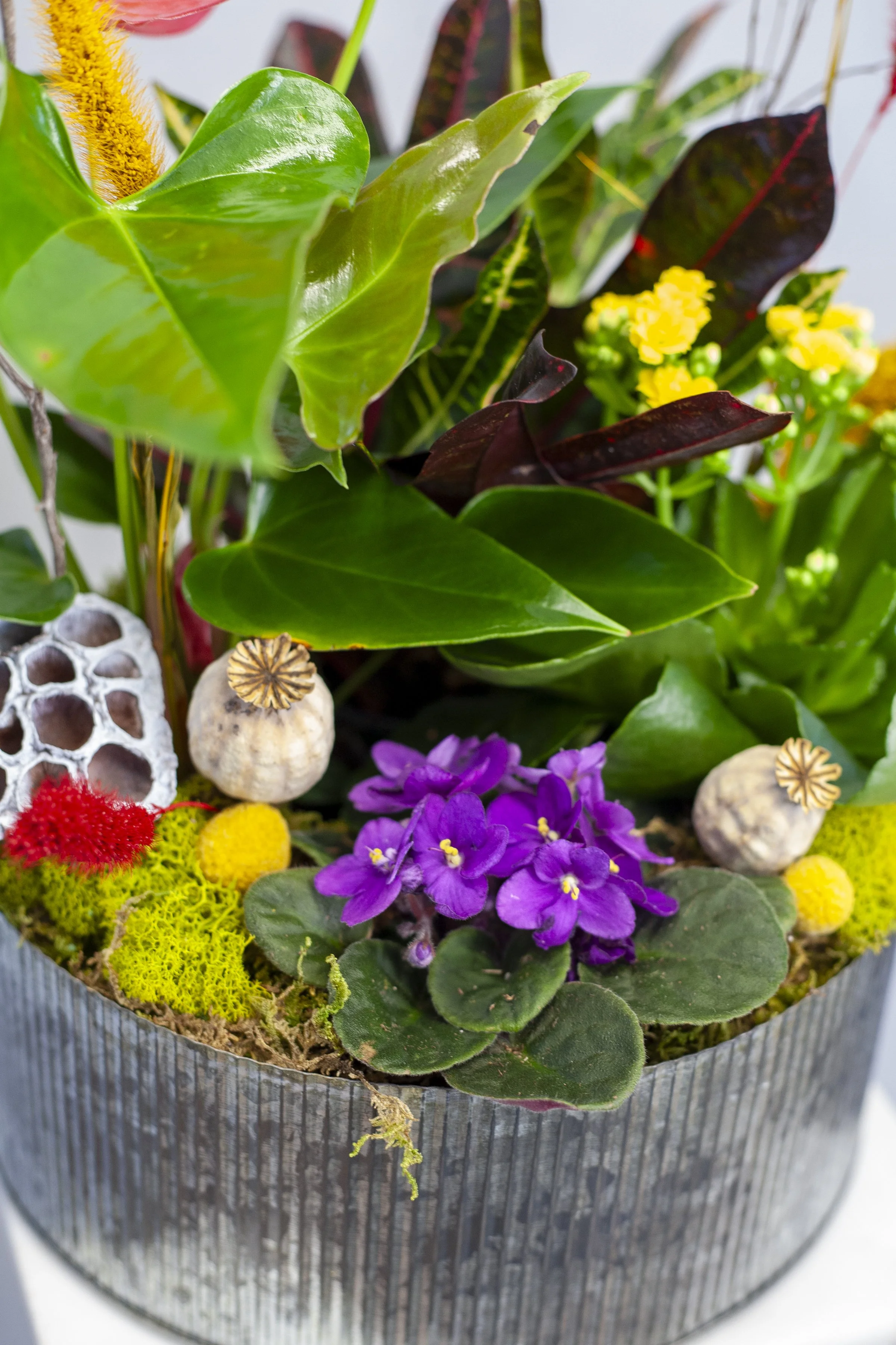 skylerburkhart_08.09.25-2.jpg
