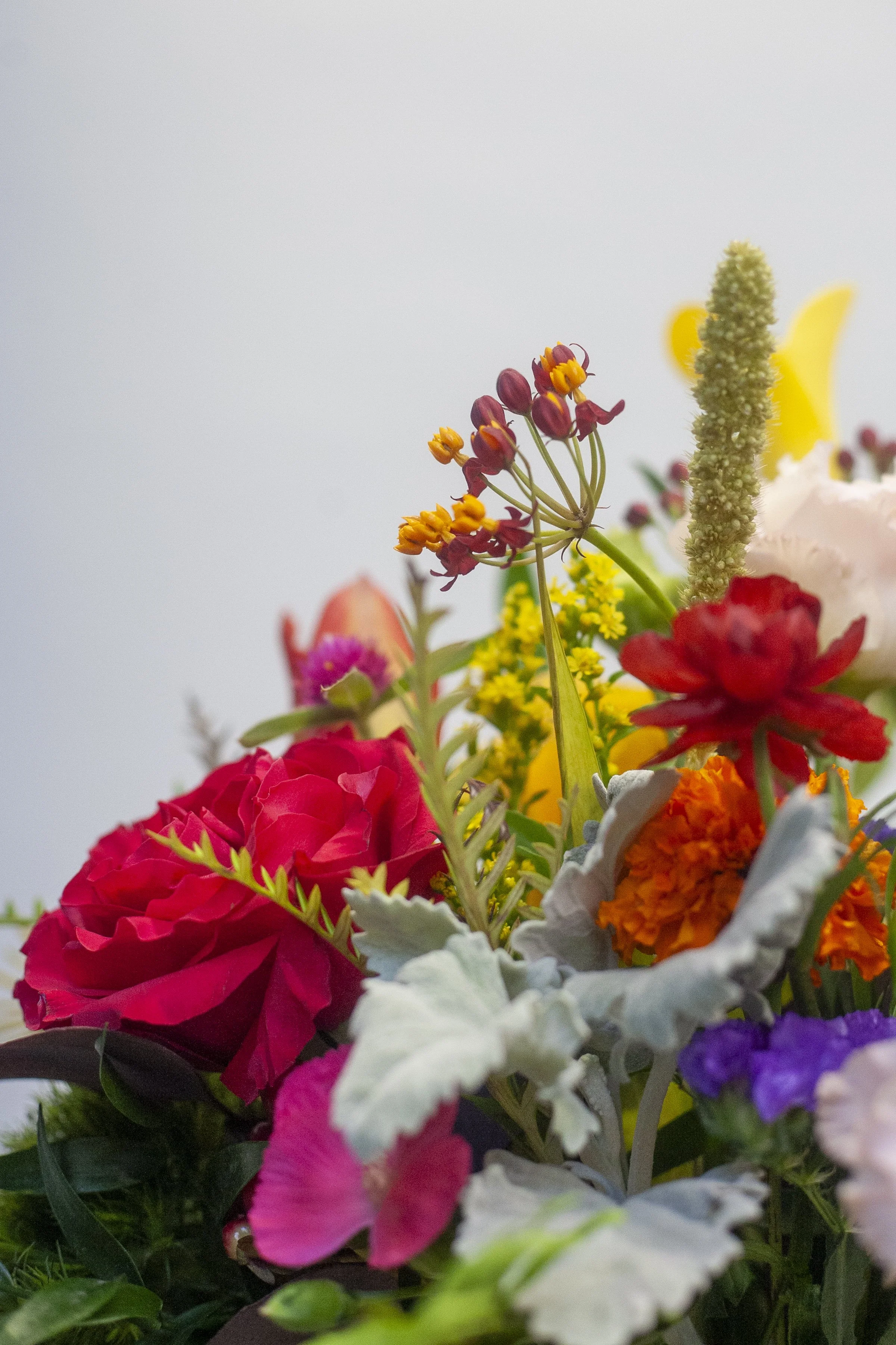 skylerburkhart_08.07.26_4-7.jpg