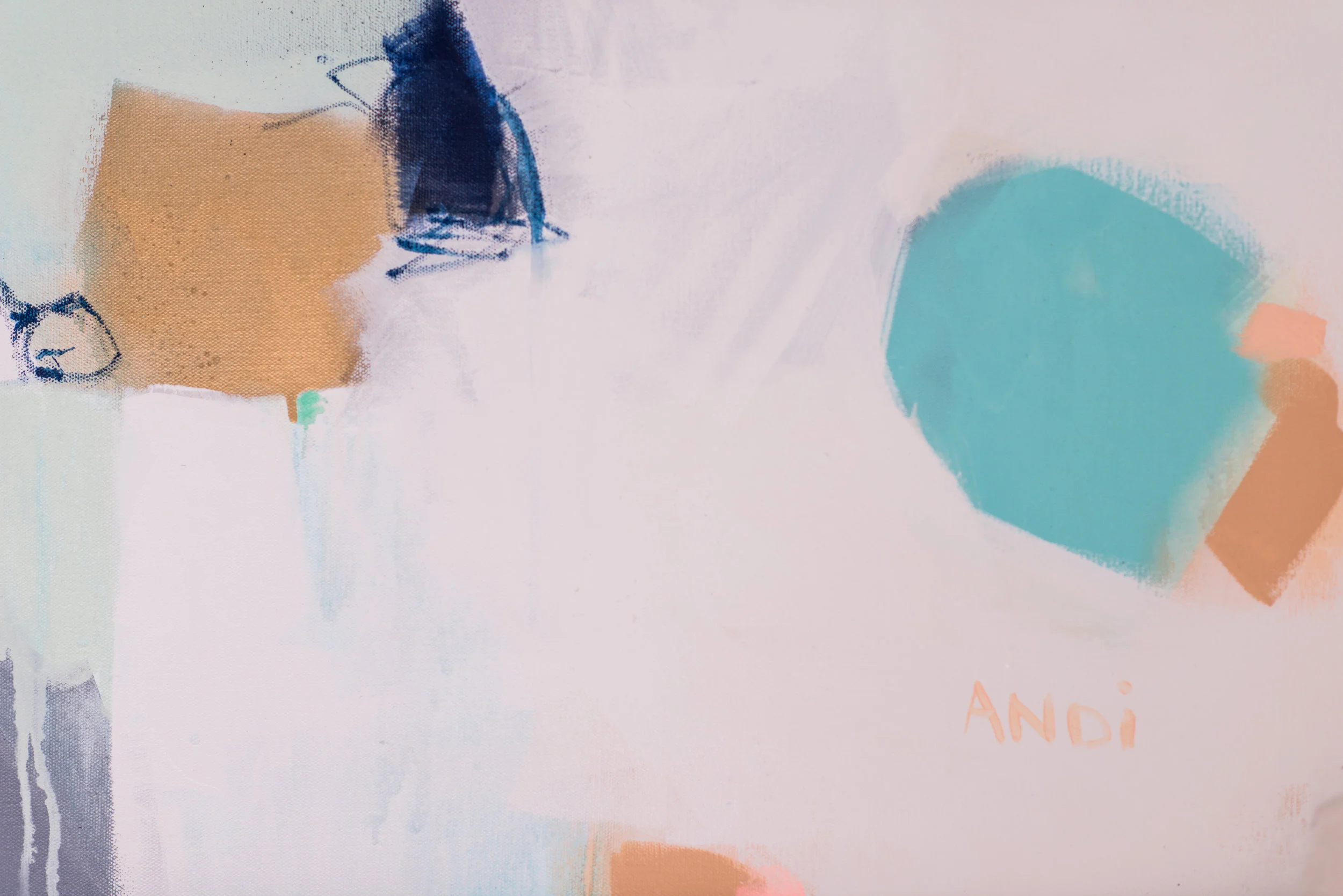 ANDIANN BK-1006.JPG