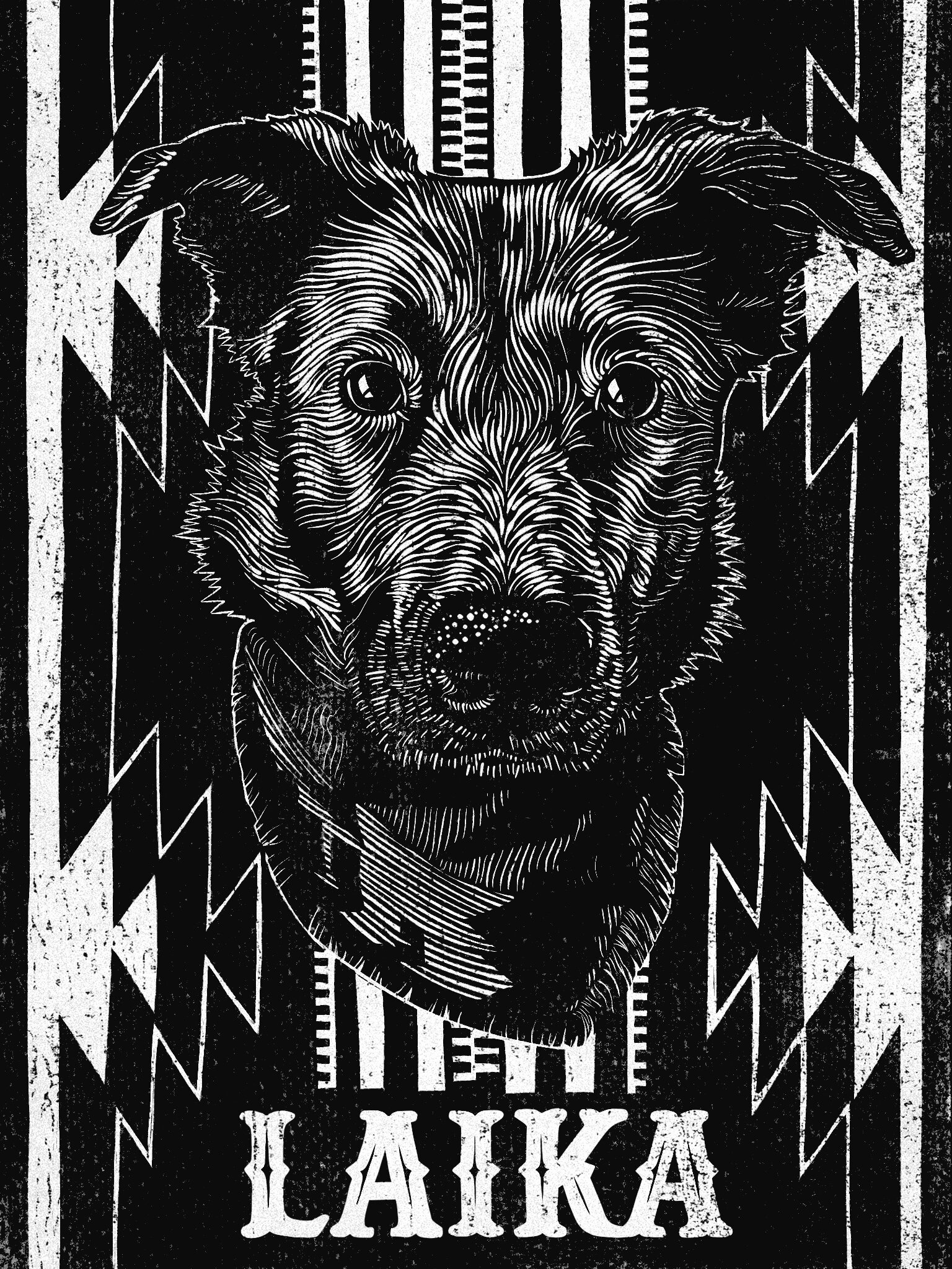 Laika_Portrait_southwestern.jpg