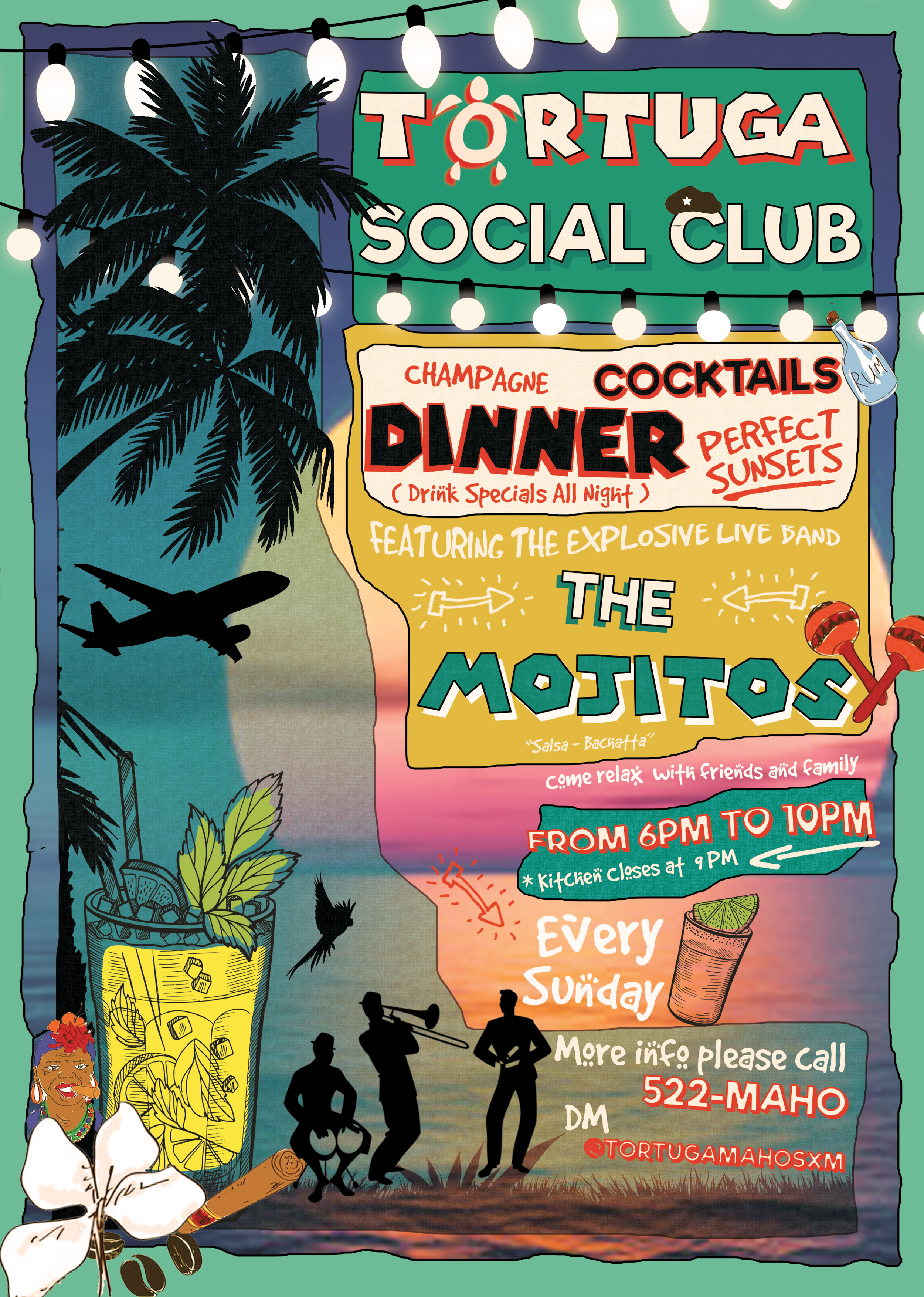 tortuga libre v3drft 4_.png