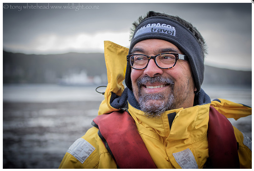 in the New Zealand Sub-Antarctic Islands. photo by Tony Whitehead