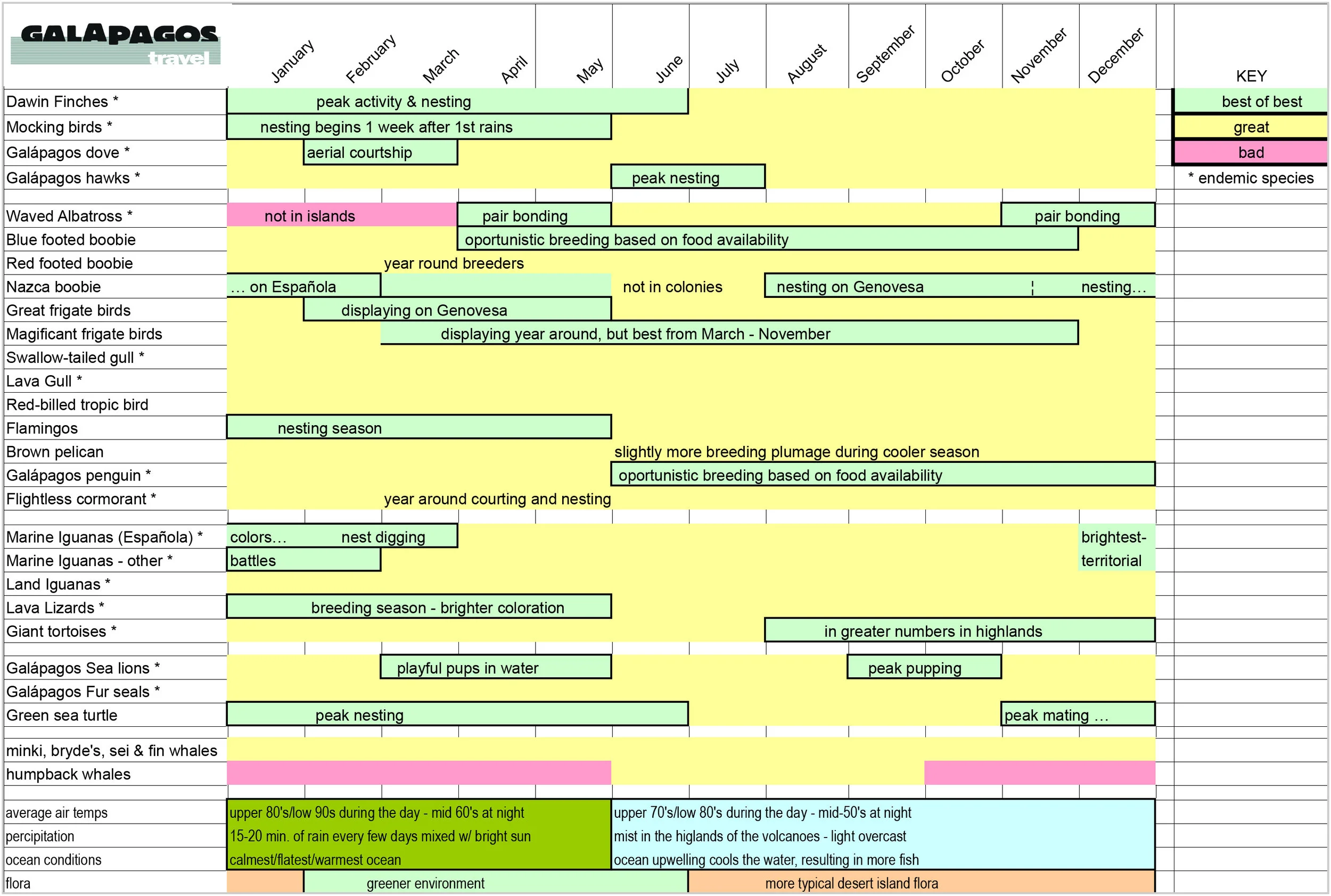 What's when for website.jpg