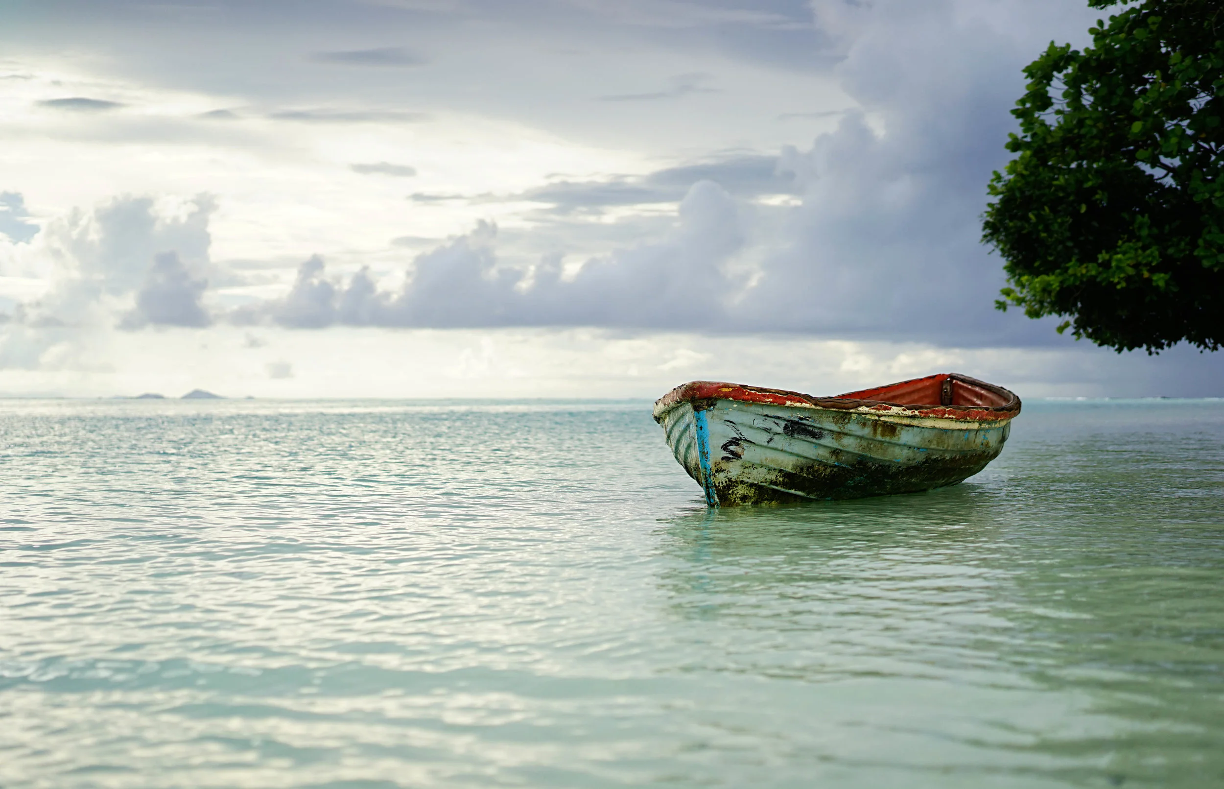 Melanesia2014MG - 801e.jpg
