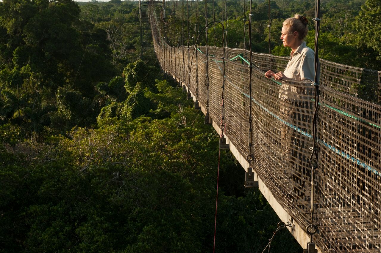 Canopy Walkway