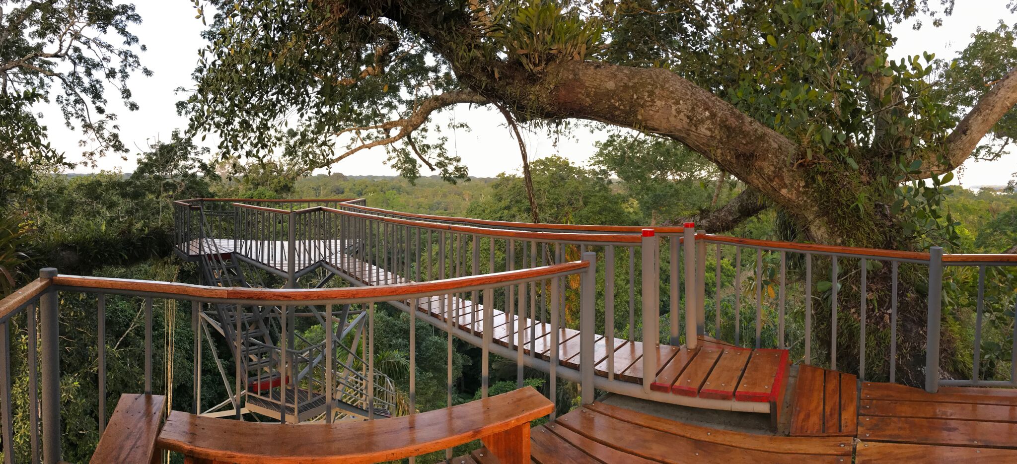 Observation Tower
