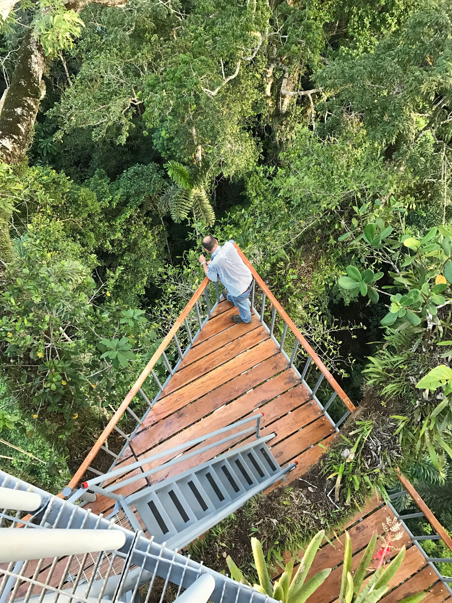 looking down from the Observation Tower
