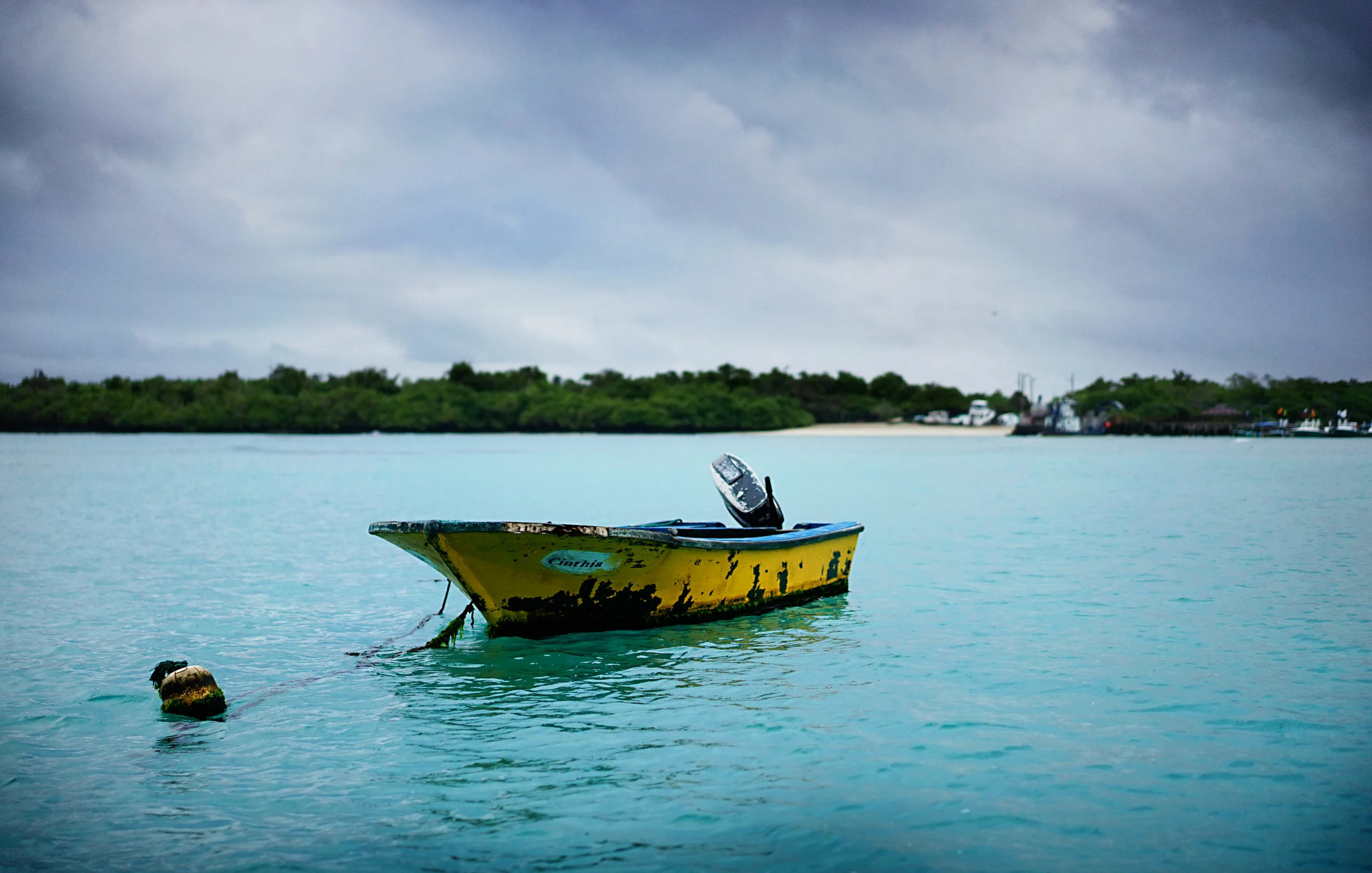 Puerto Villamil, Isabela Island