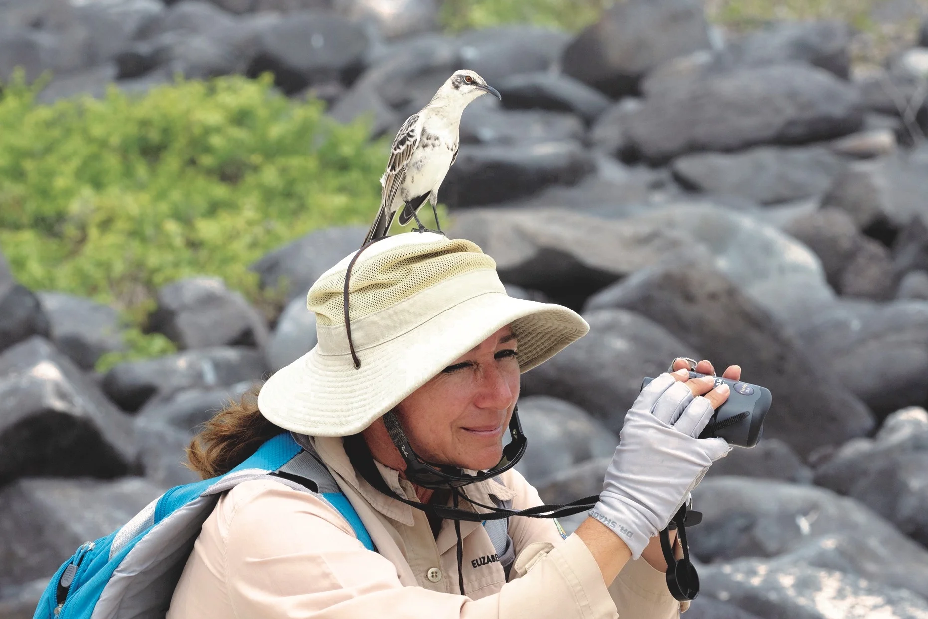 Elizabeth (Ely) and an Española Mockingbird