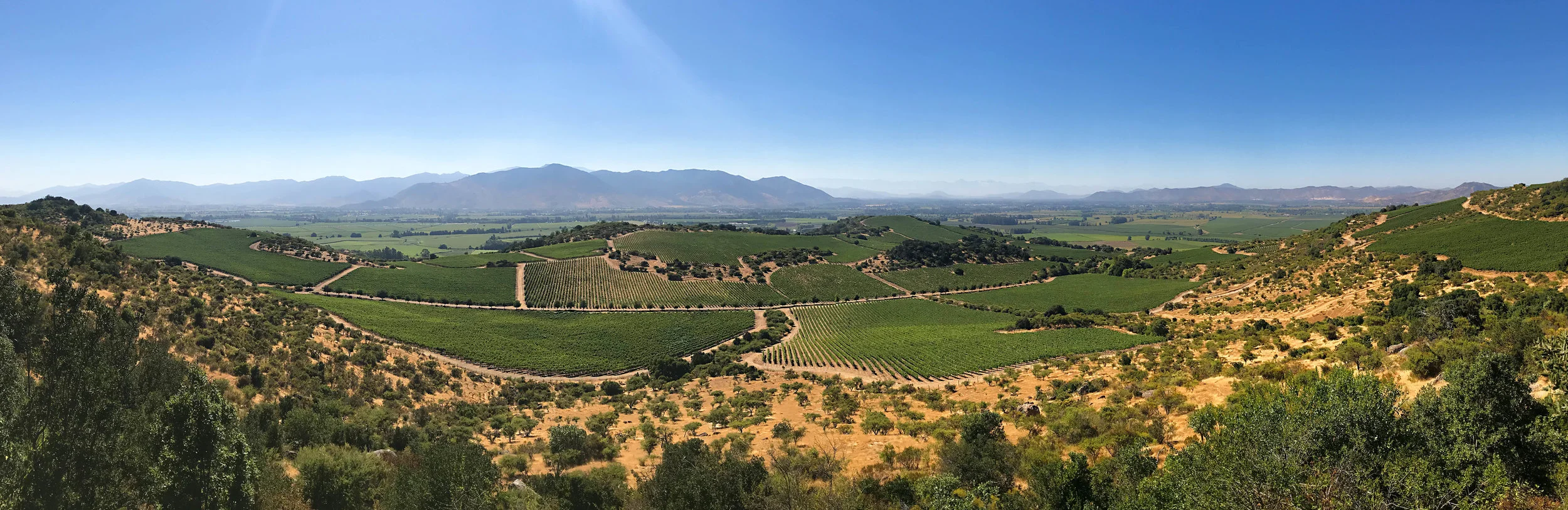 Montgrass Vineyards in the Colchagua Valley