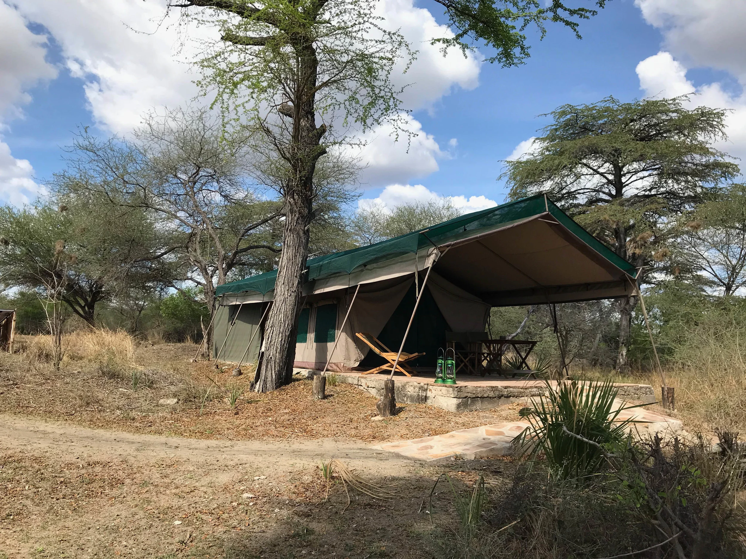 Selous: Lake Manze Tented Lodge