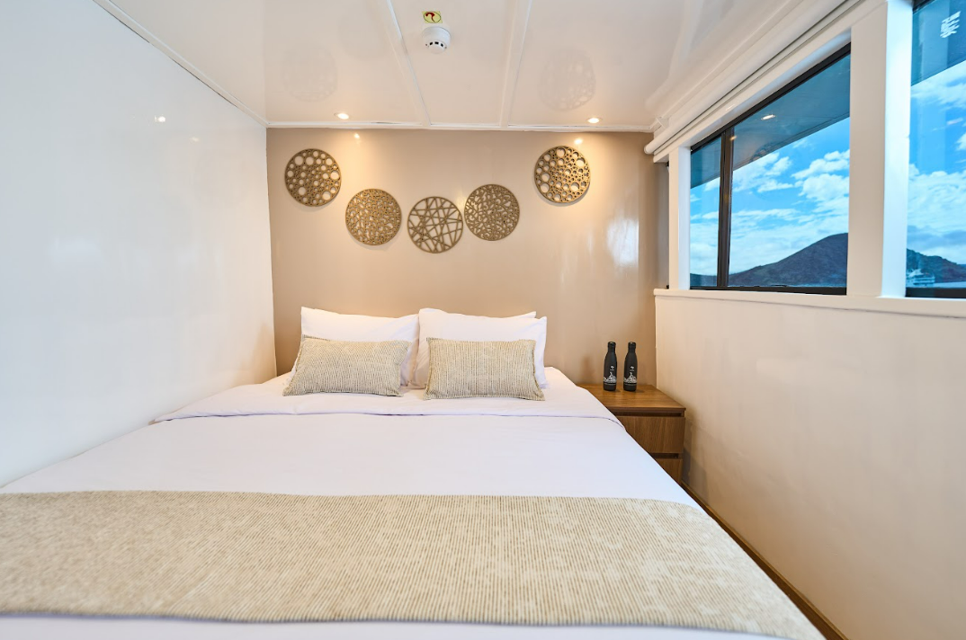 Double bed top deck.png