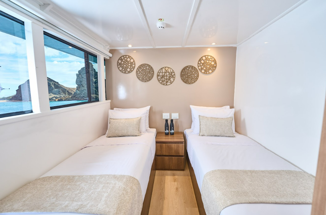 Twin bed top deck monserrat.png