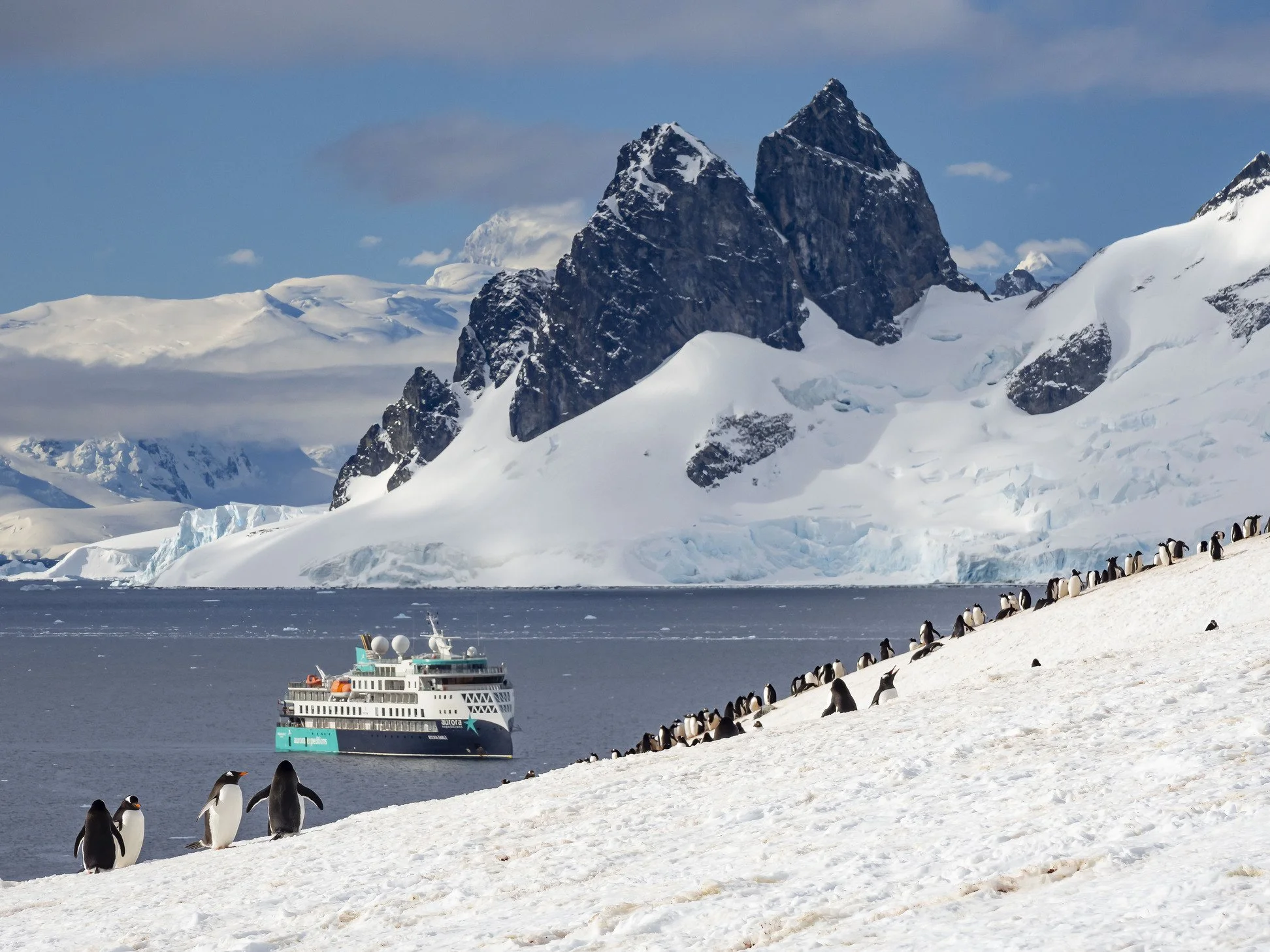 penguins and ship