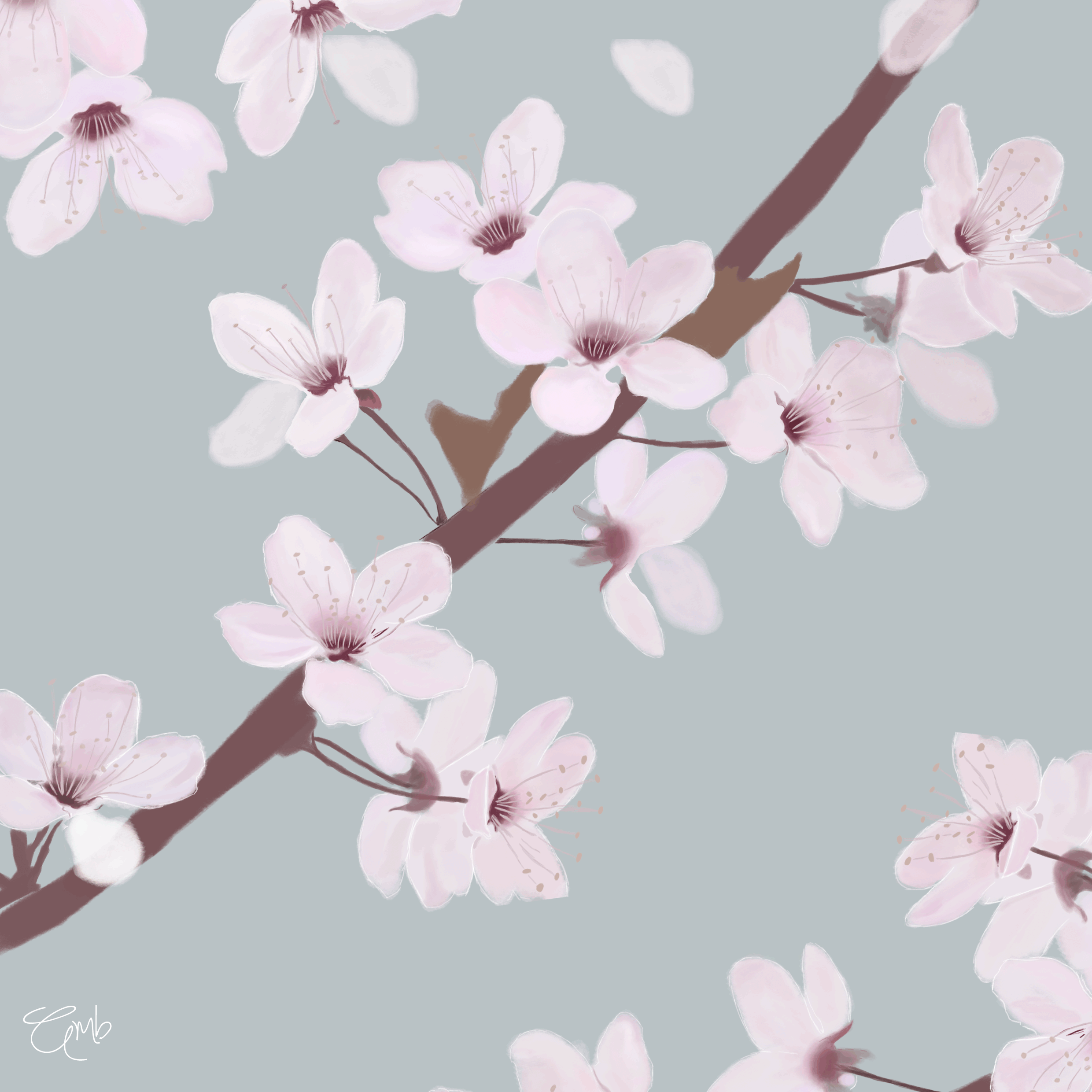 Cherry Blossom Wallpaper