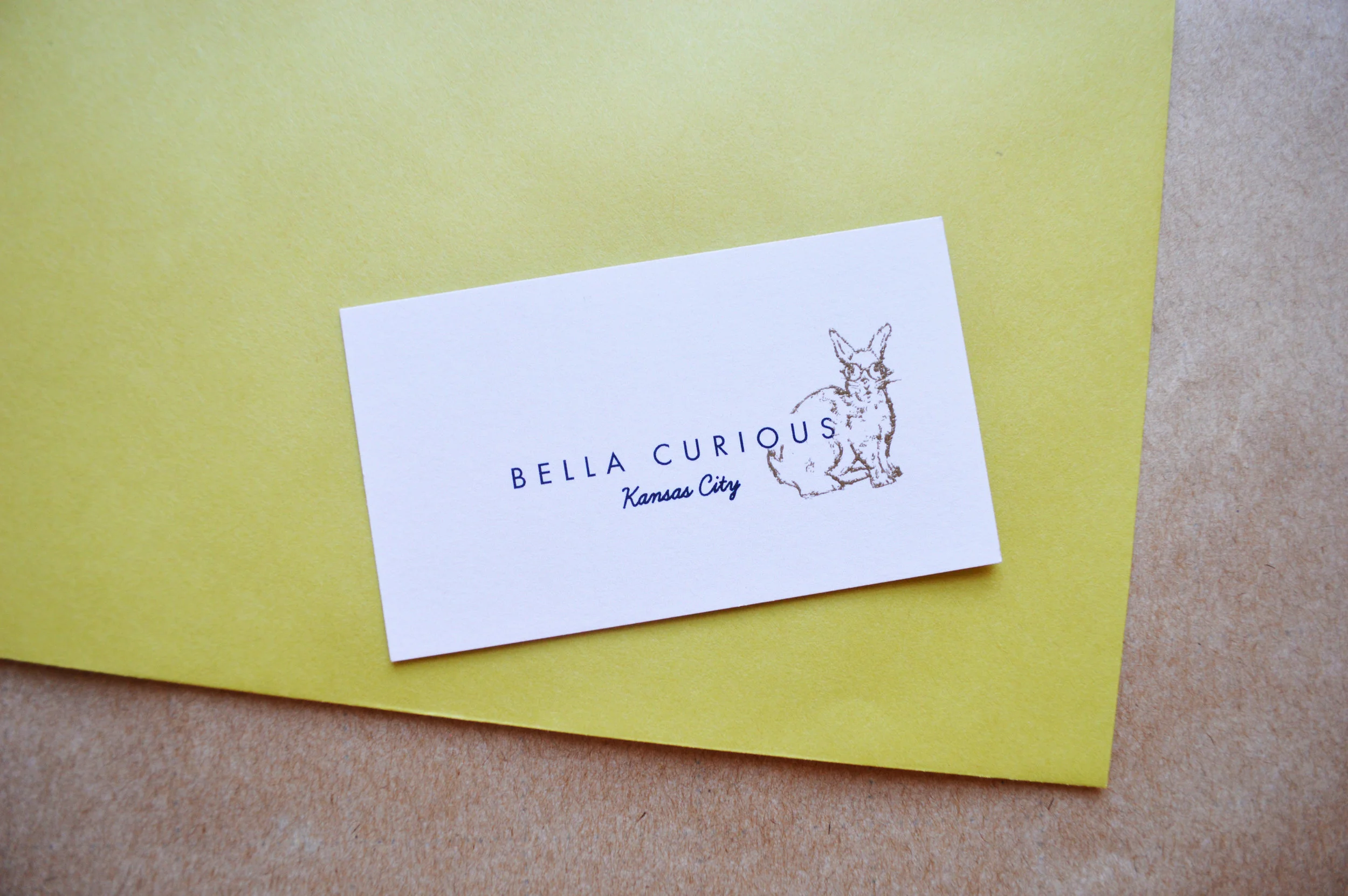 bella curious card.jpg