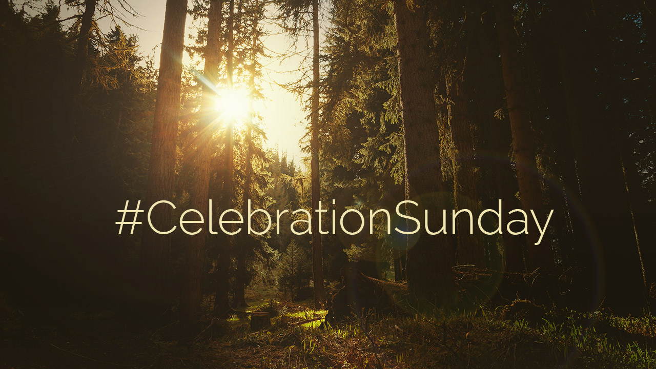 CelebrationSunday.jpg