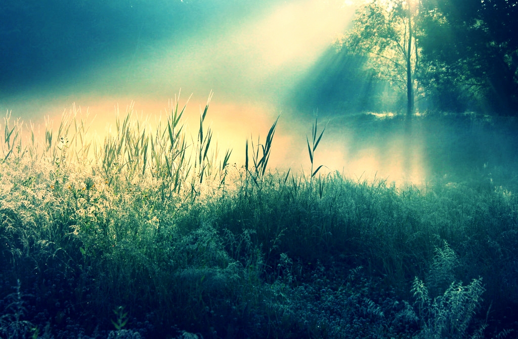 VISION REFERS TO WHAT WE EXPECT TO SEE