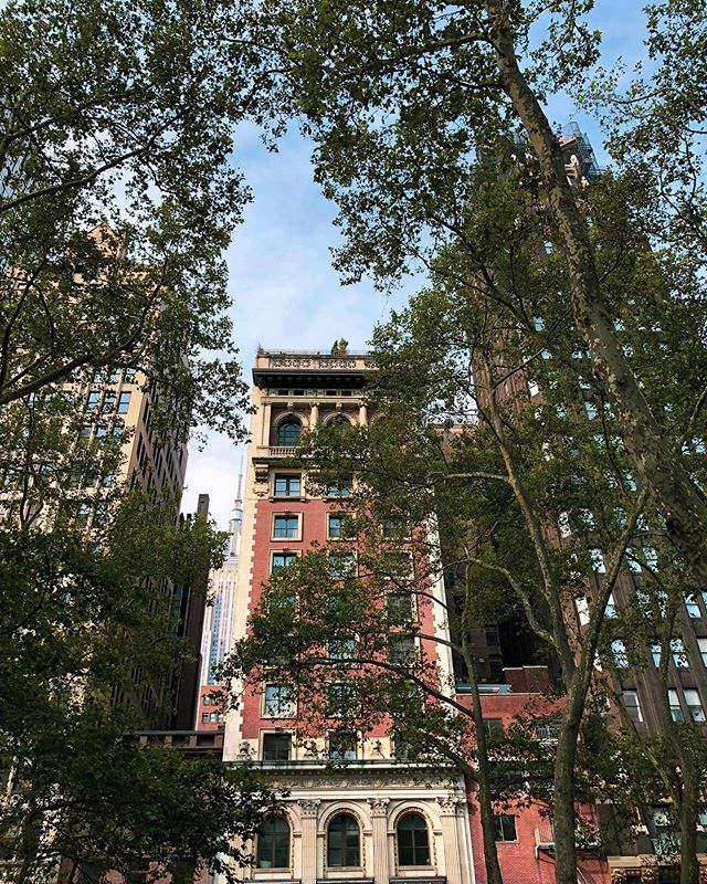 *reads a Donna Tartt novel for an hour under a canopy of trees on cafe furniture in the middle of a park in Midtown before heading to work*
.
.
.
#nyc #architecture #tgif #summer #newyorkcity #city #friday #aesthetic #views