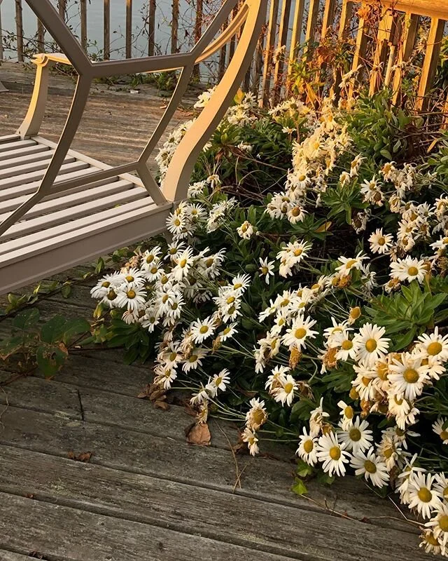 Posting in feed on Instagram has given me so much anxiety over the past year that I&rsquo;ve basically just stopped, so that I&rsquo;m not wasting my days refreshing to see if people like my photos and deleting ones that don&rsquo;t &ldquo;do well&rd