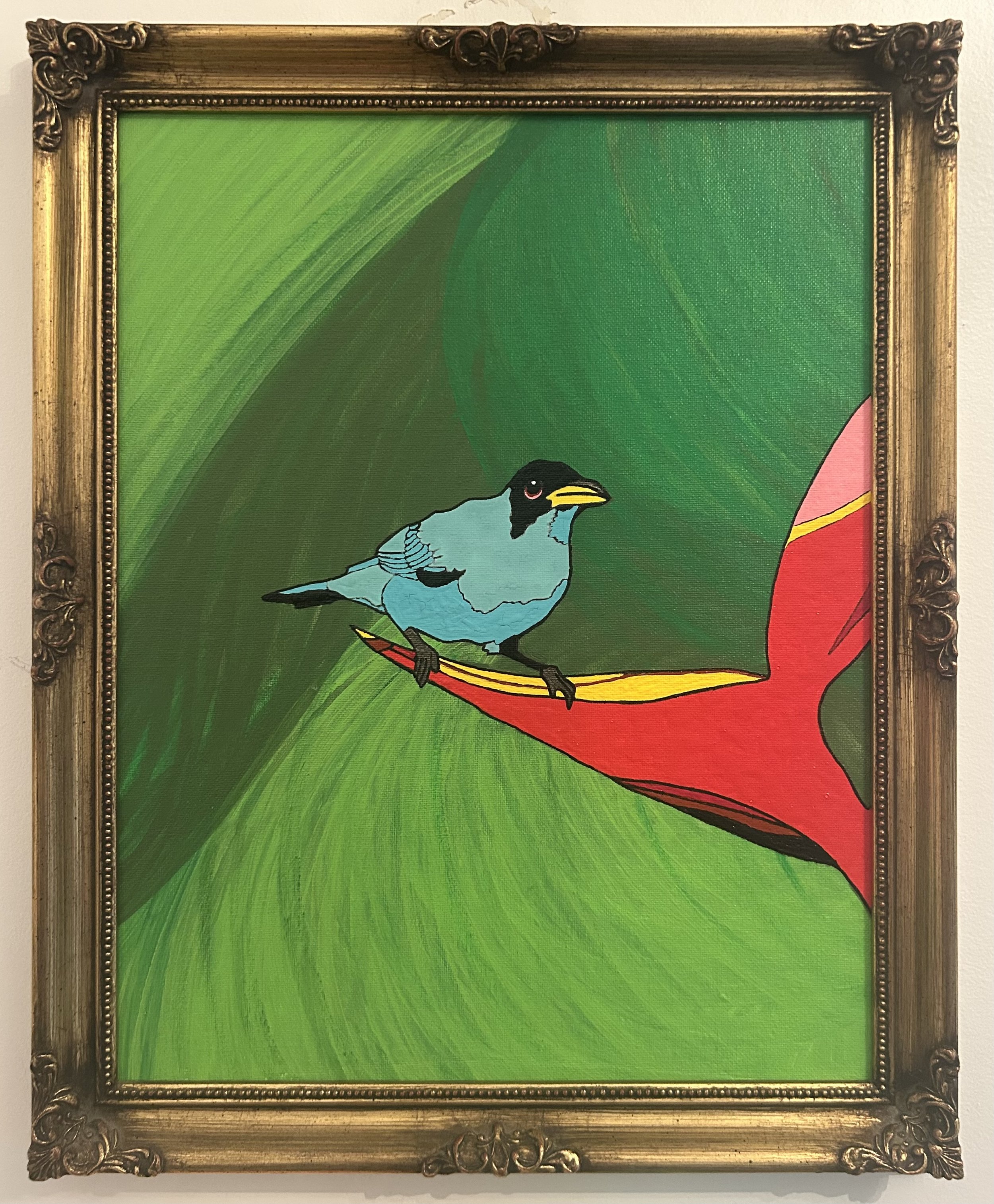 Flora & Fauna