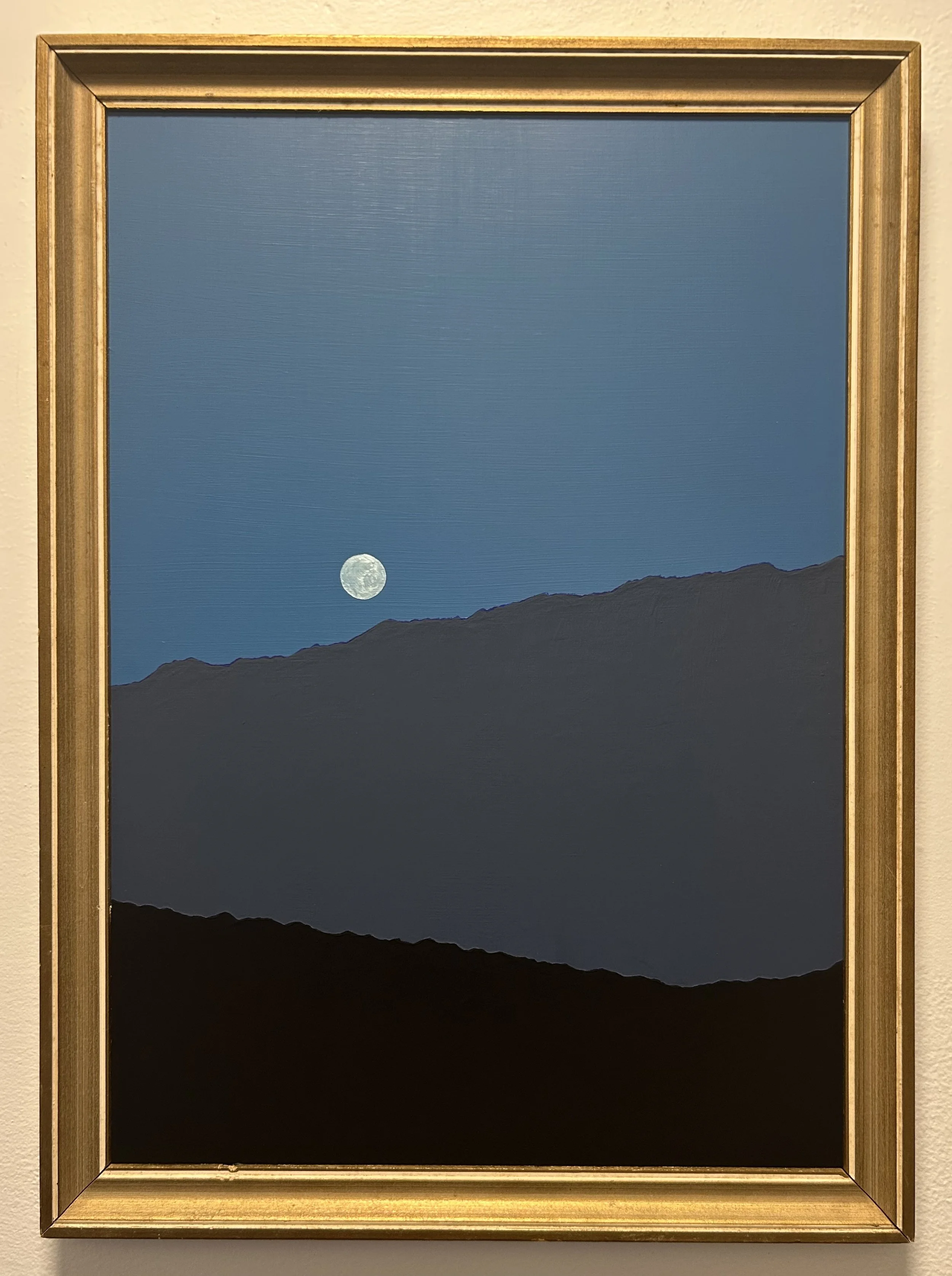Blue Sunset on the Red Planet