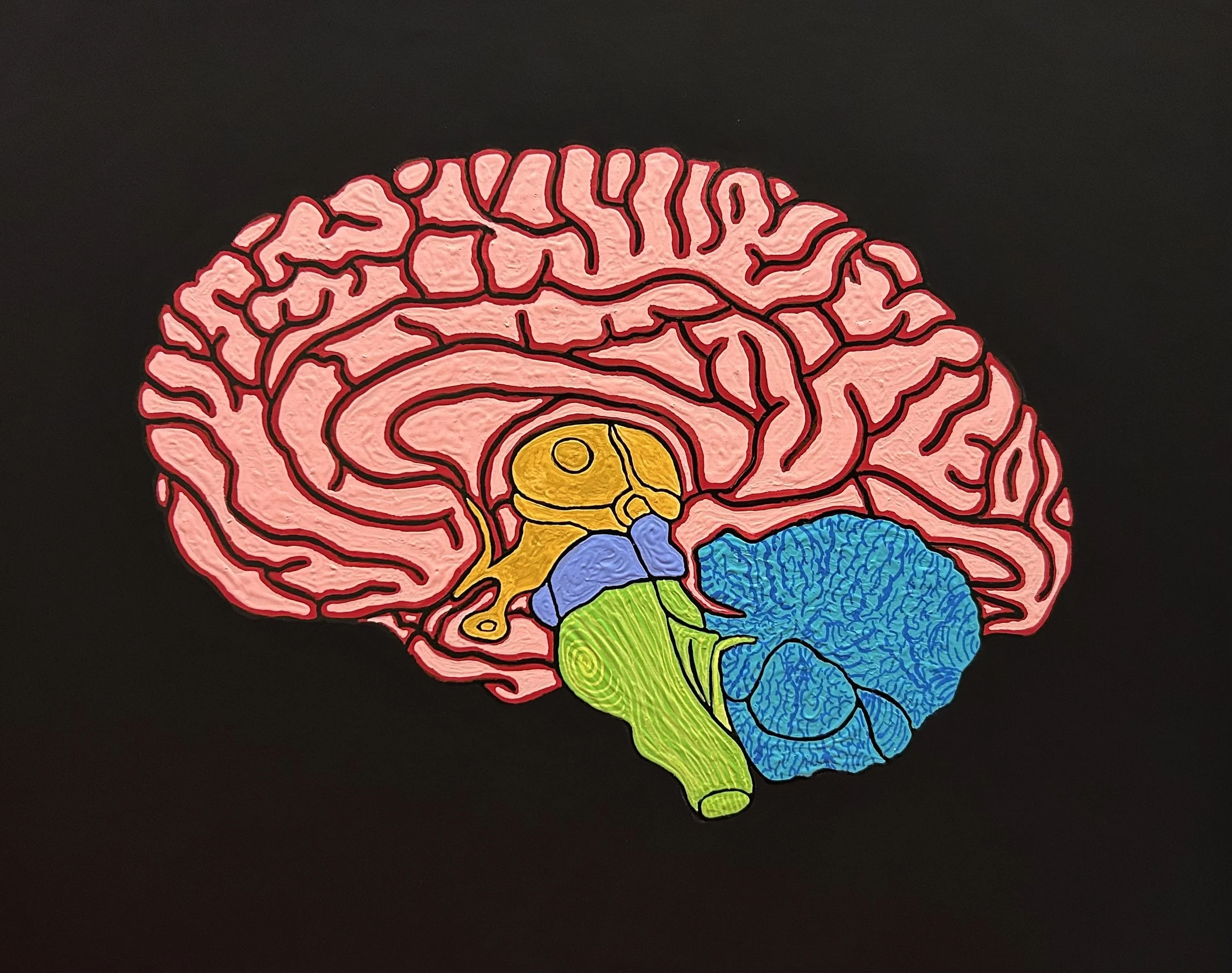 Mas Sesos de Colores