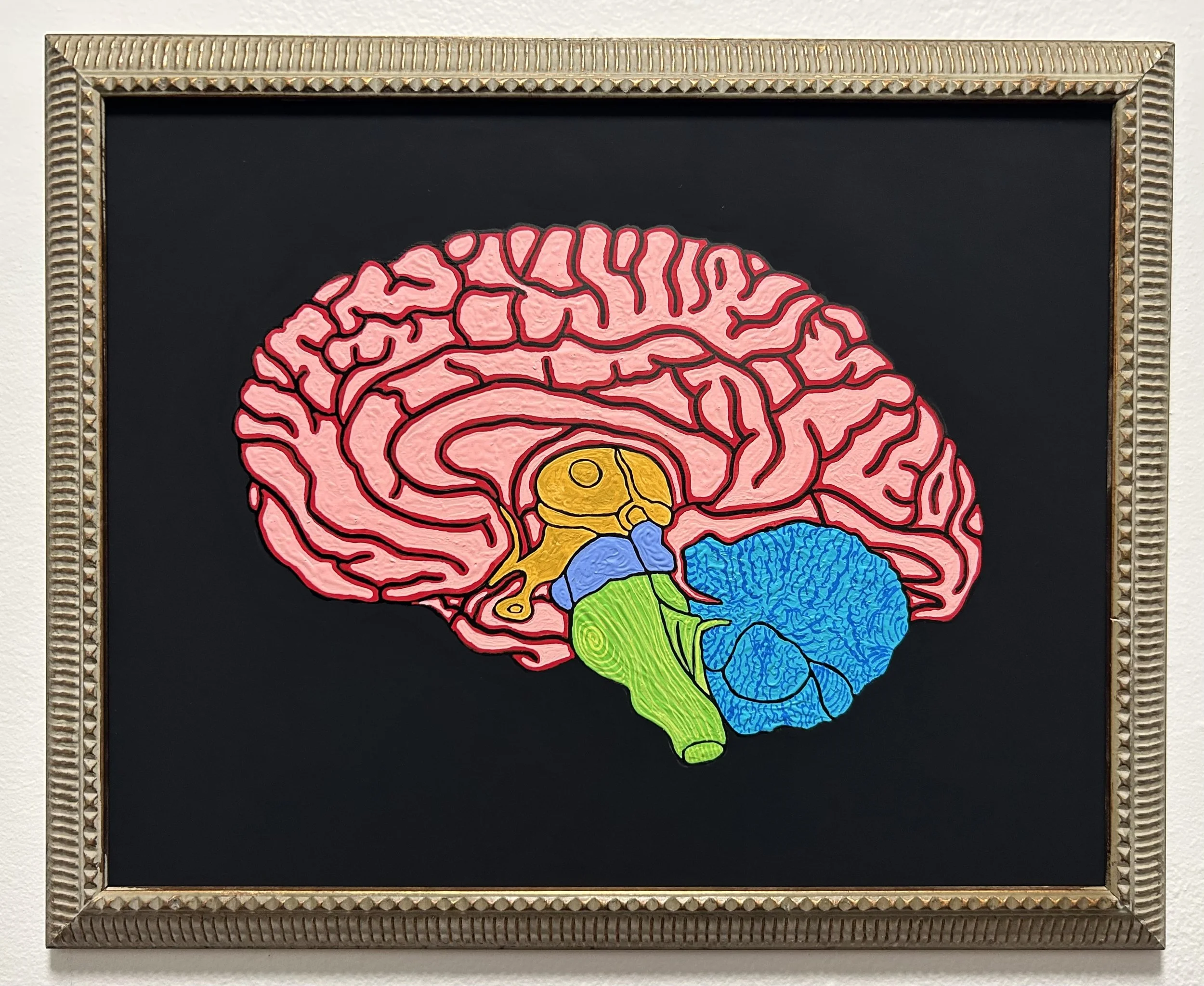 Mas Sesos de Colores