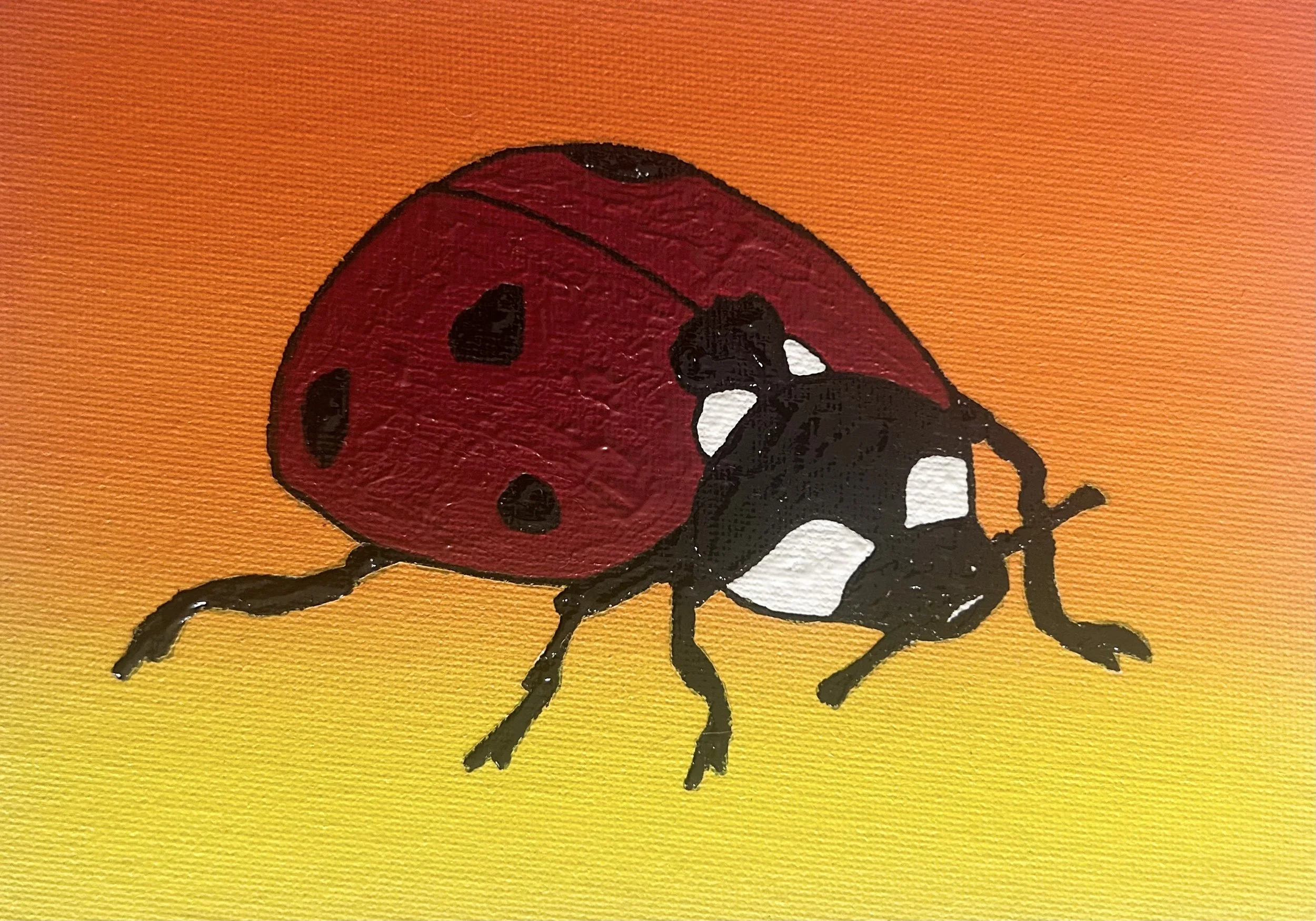 The World's Most Loveable Insect