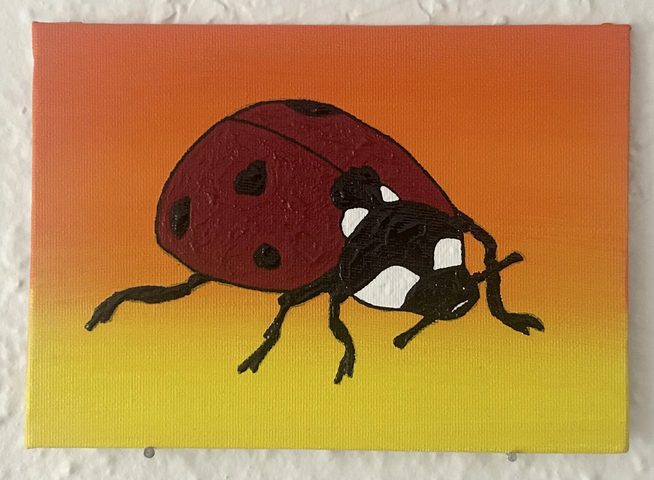 The World's Most Loveable Insect