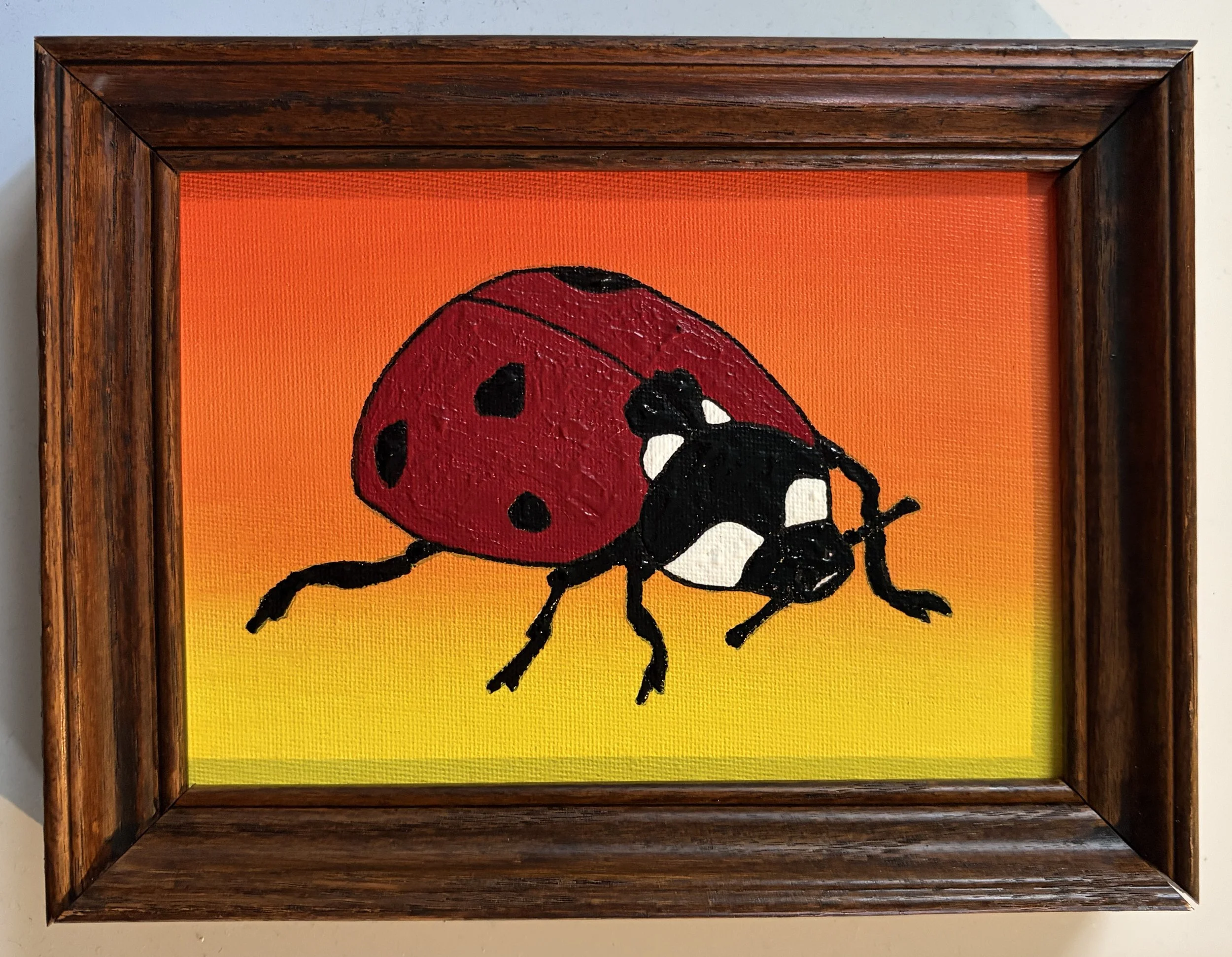 The World's Most Loveable Insect
