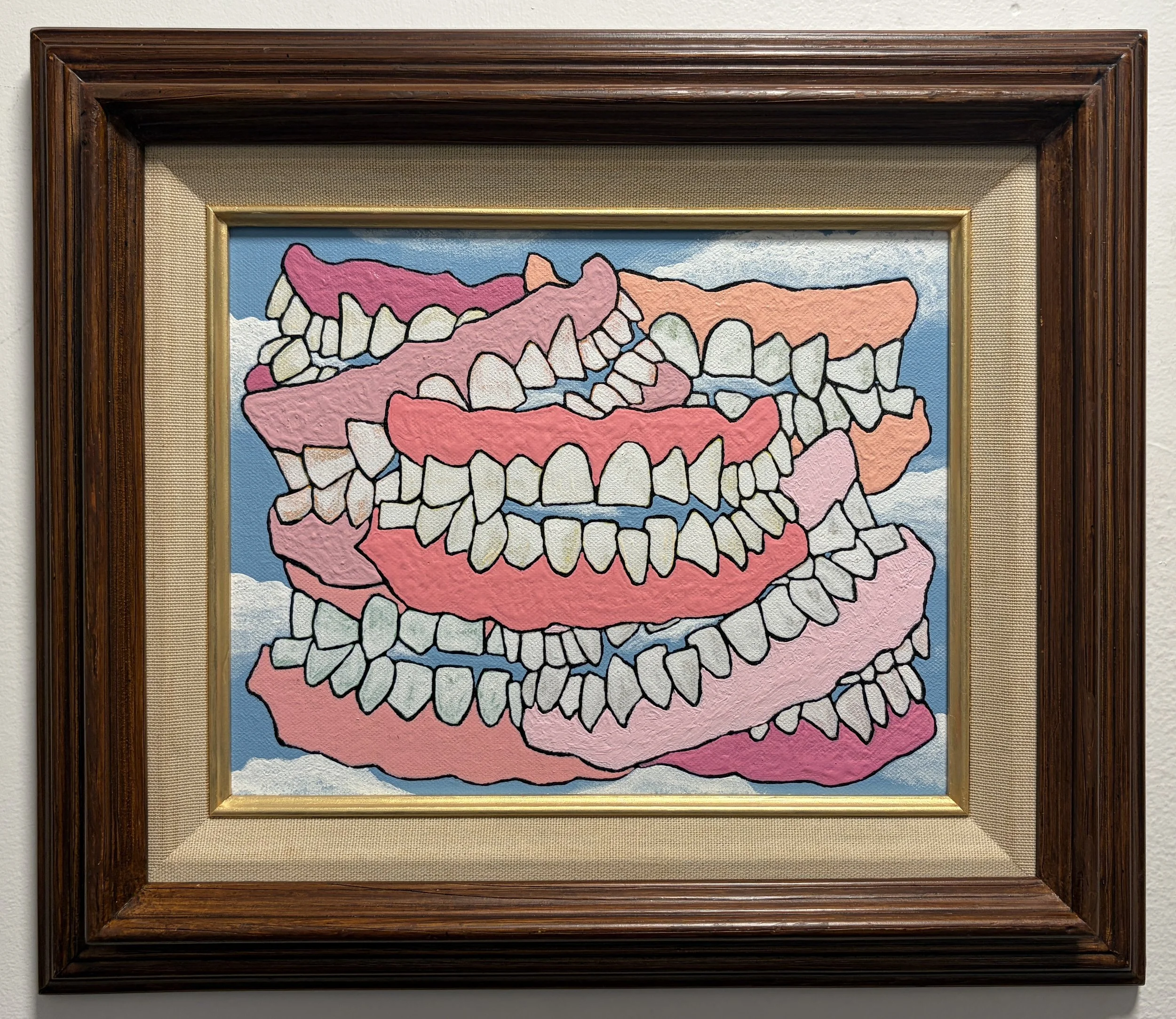 Fly Dentition
