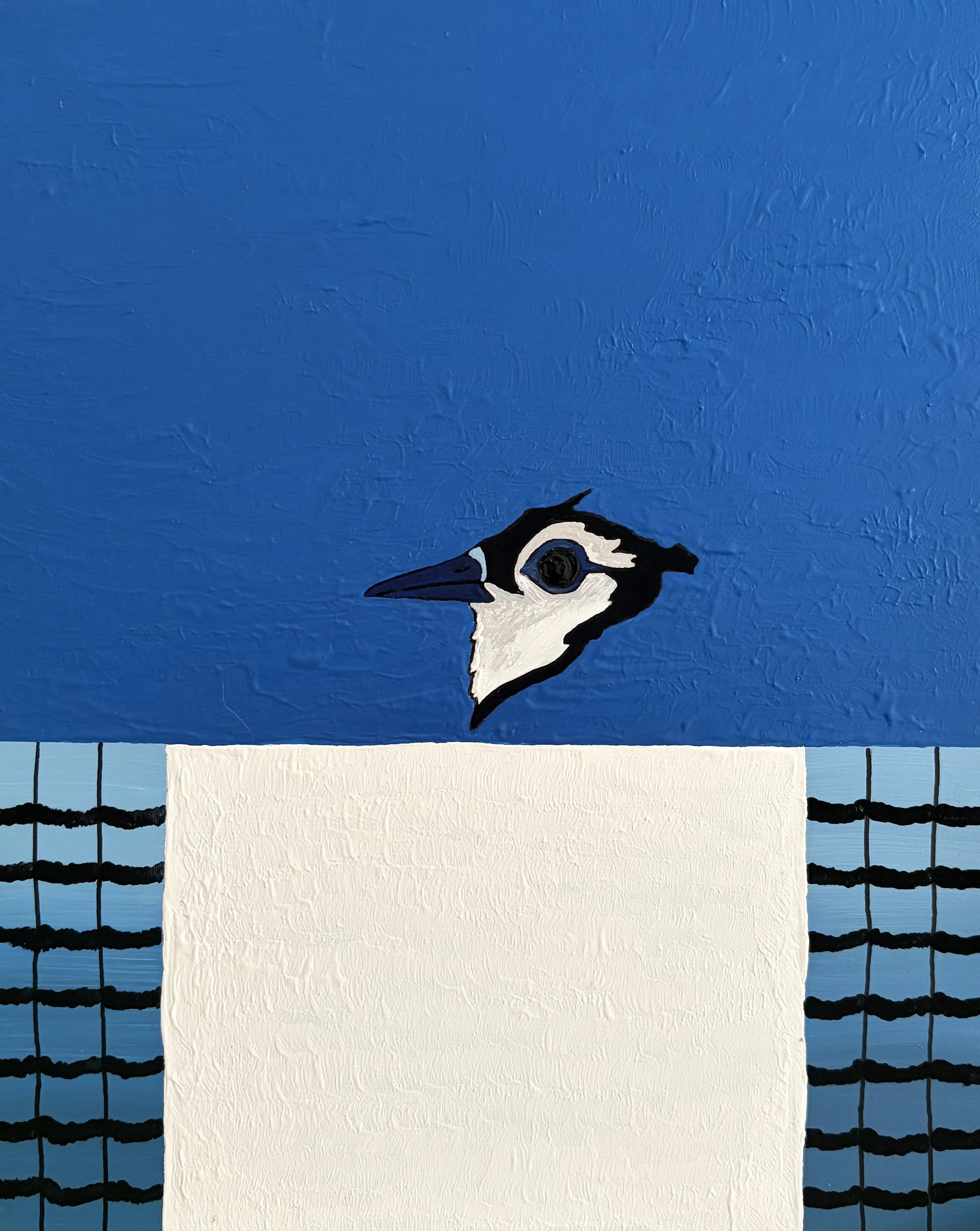 Blue Jay