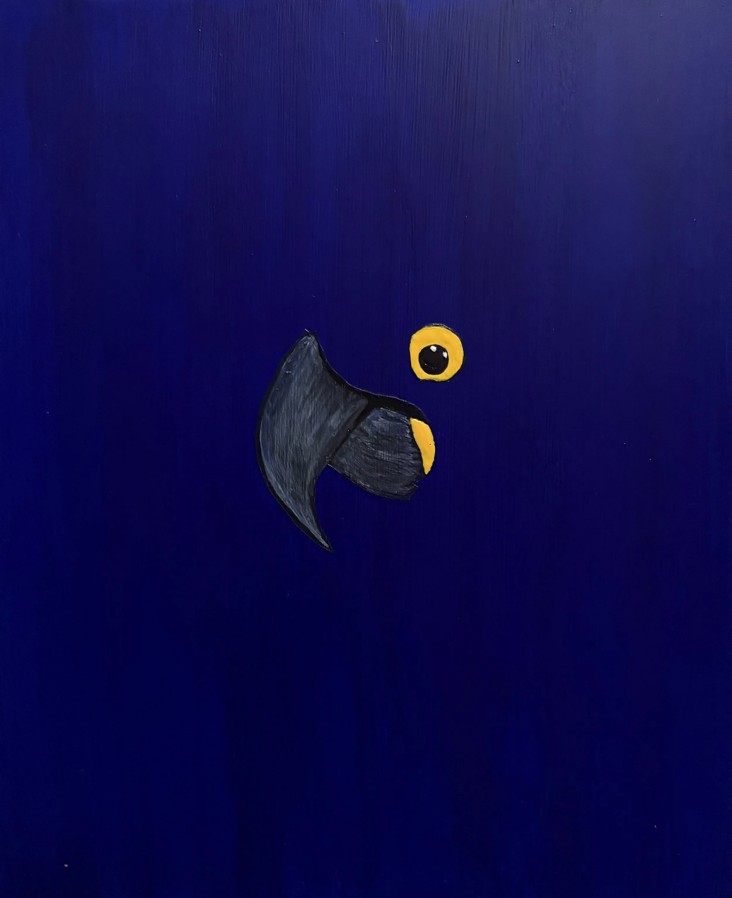 Hyacinth Macaw