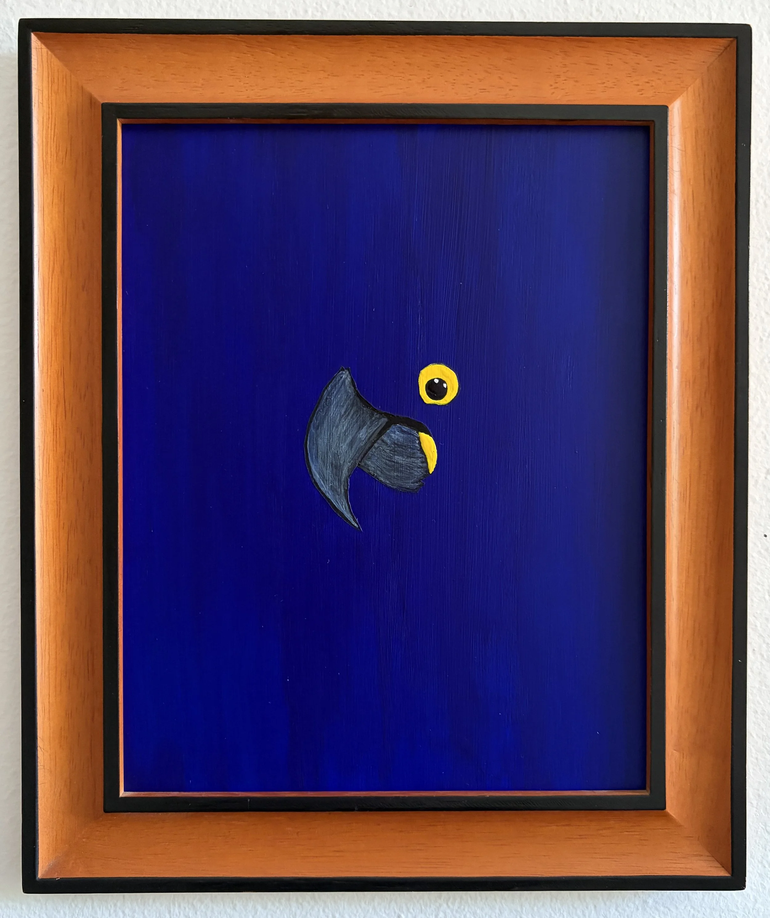 Hyacinth Macaw