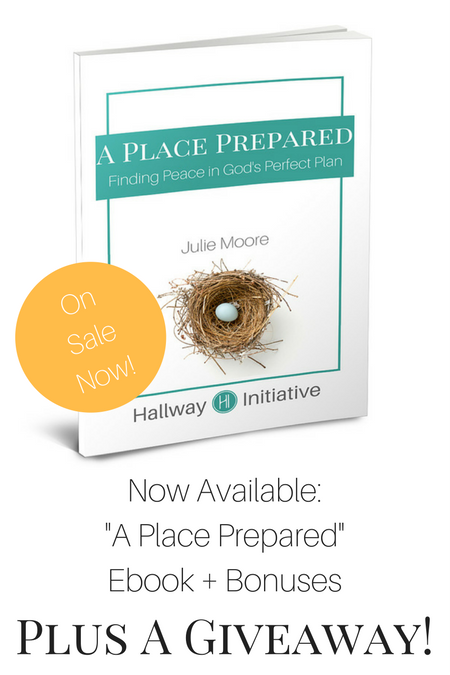 Now Available: "A Place Prepared" Ebook + Giveaway!