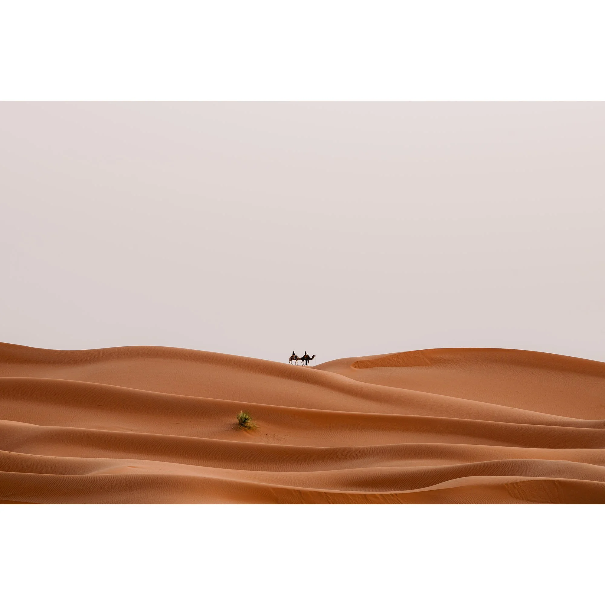 Morocco_Camels.jpg