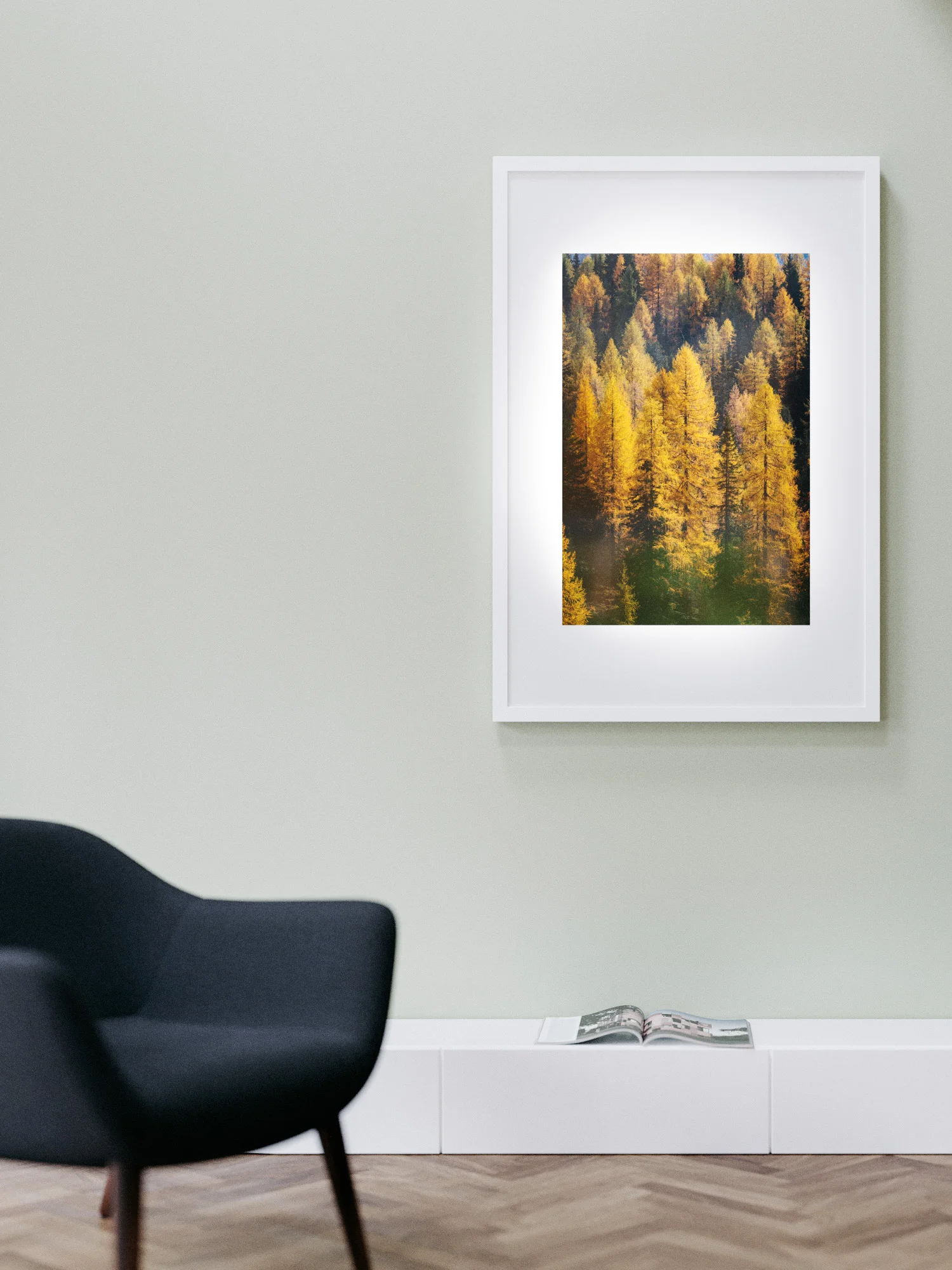 Preview of a poster of Autumn pine covered landscape